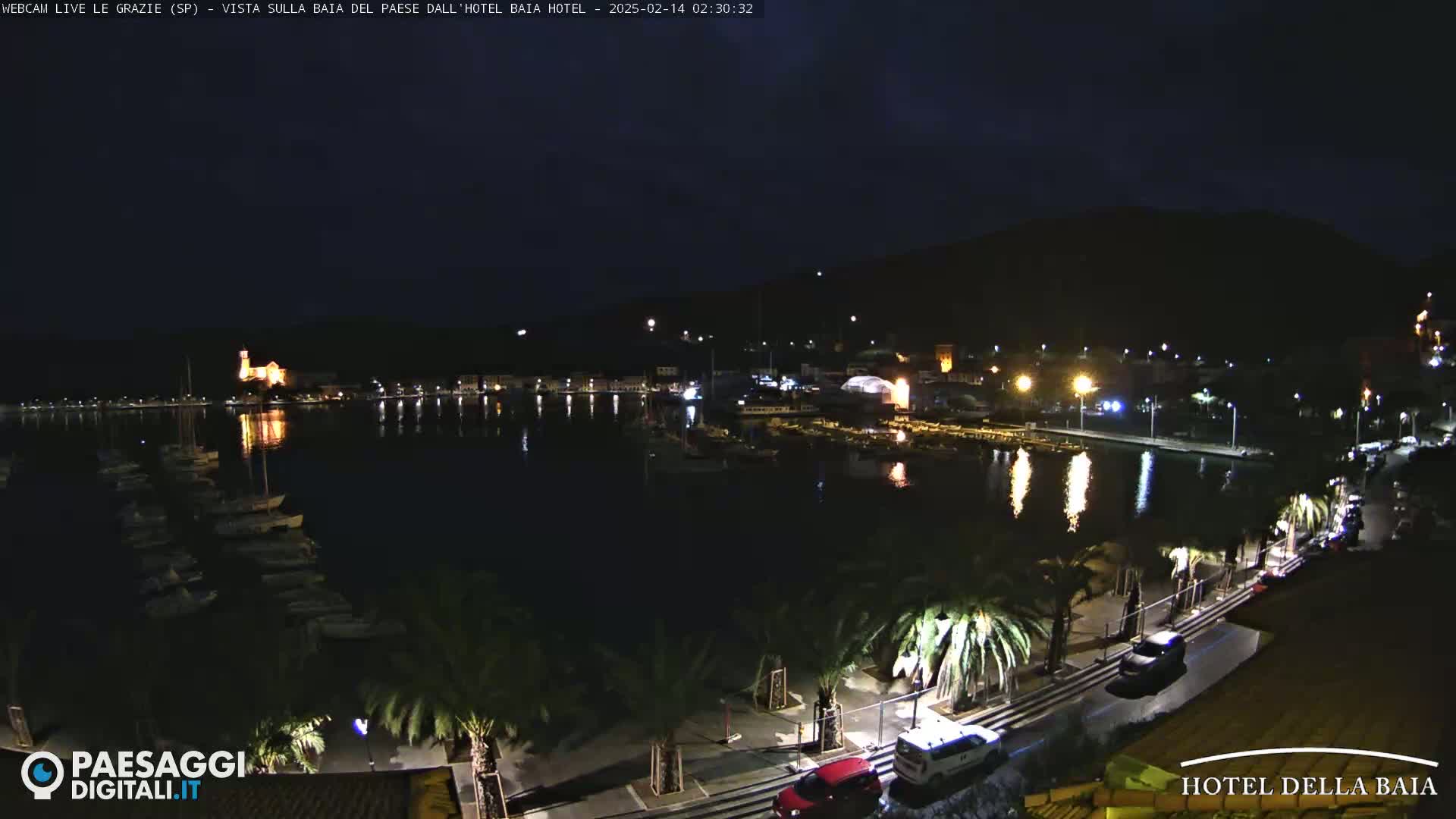 A nighttime view of a harbor filled with boats, a town with lights, and palm trees lining a roadway, under a dark sky.