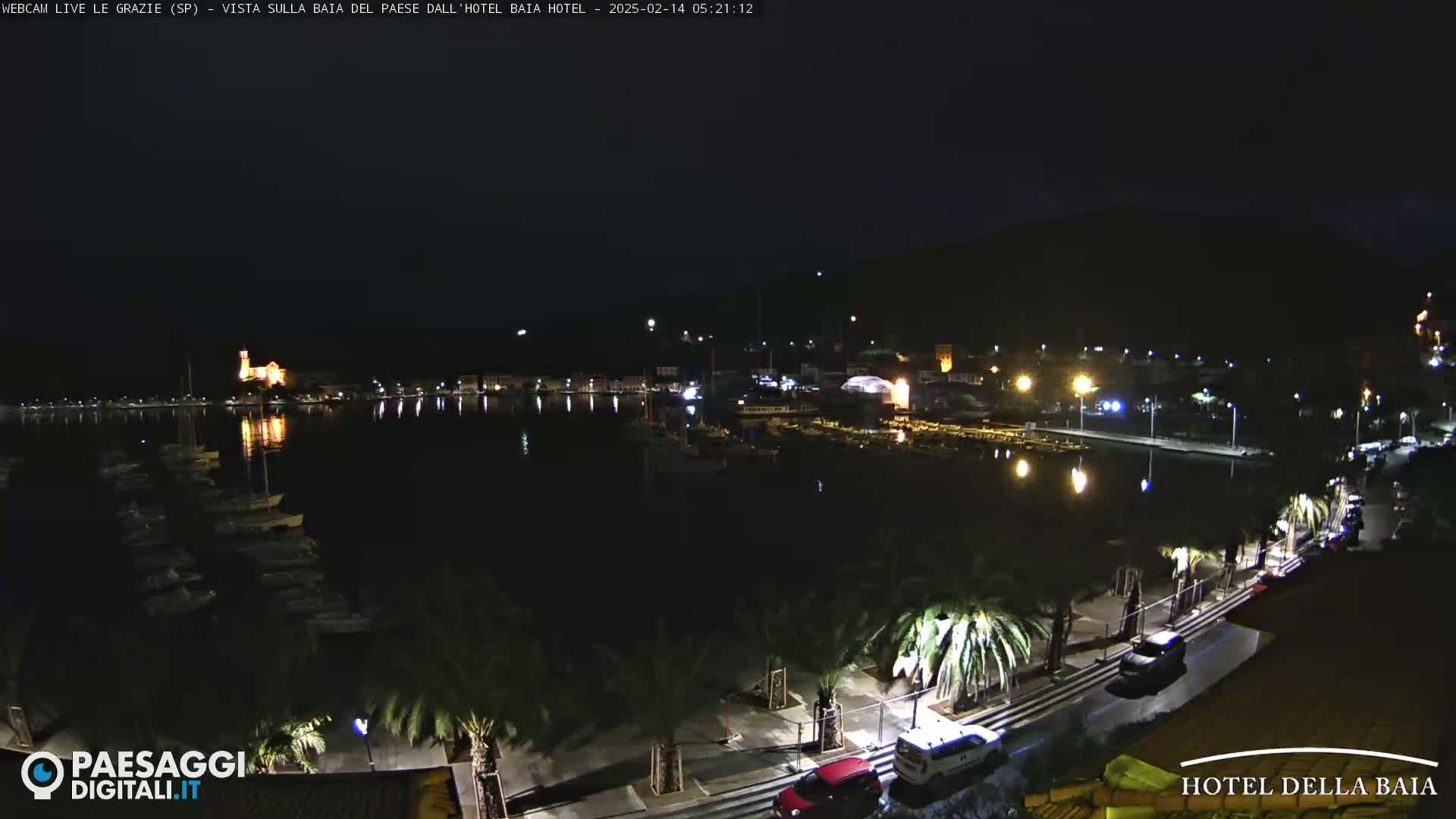 A nighttime view of a harbor filled with boats, a town with lights, and a palm-lined road.