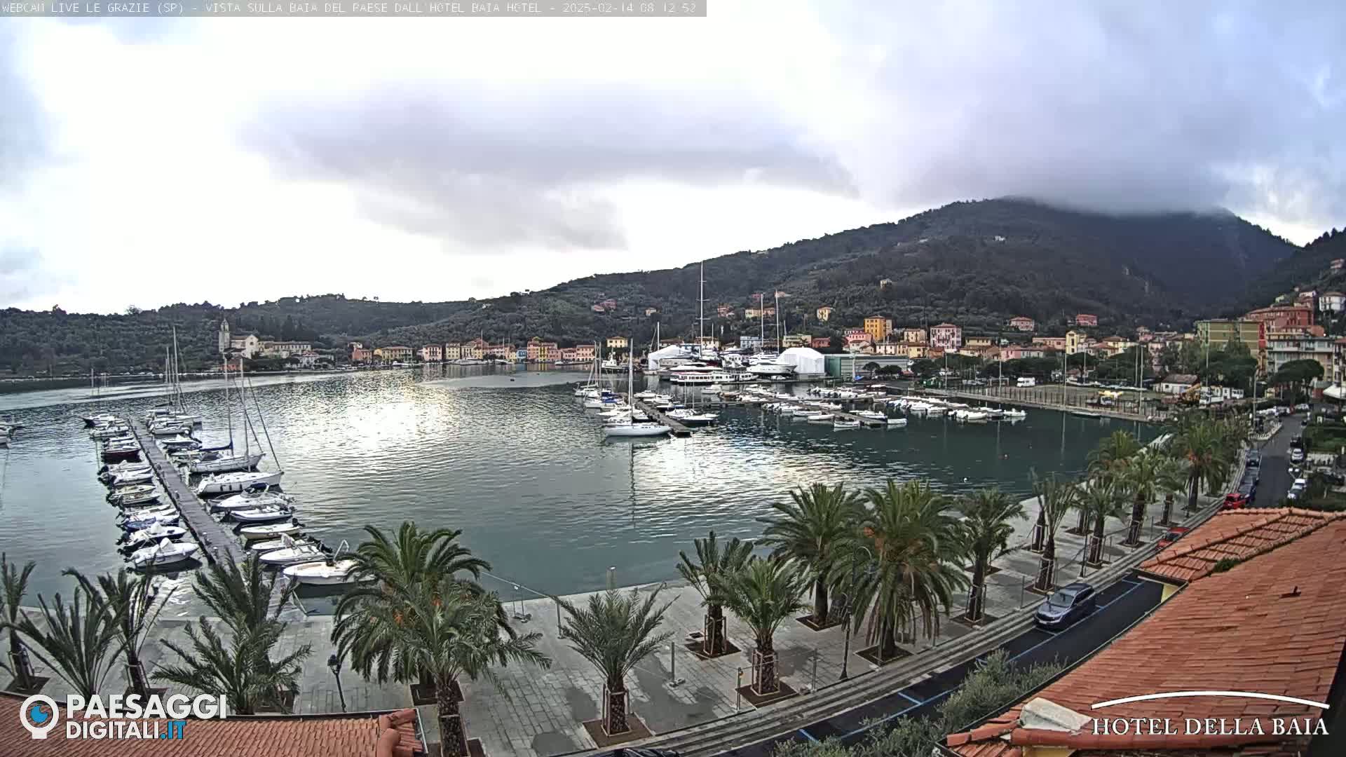 A harbor filled with sailboats and yachts is situated below a hill partially obscured by clouds, with a palm tree-lined promenade stretching along the waterfront.