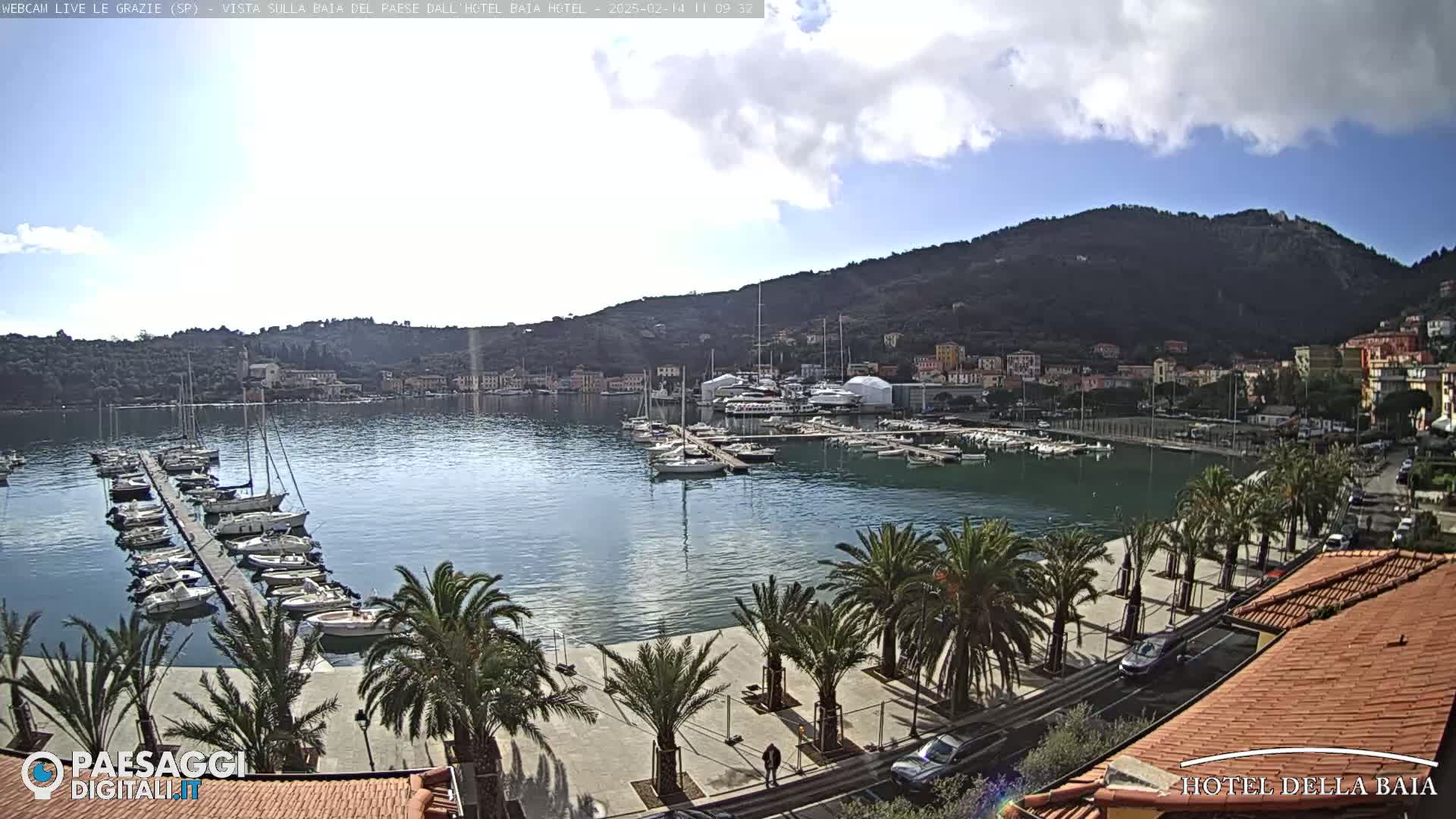 A harbor filled with sailboats and yachts is nestled below a hillside town under a partly cloudy sky.