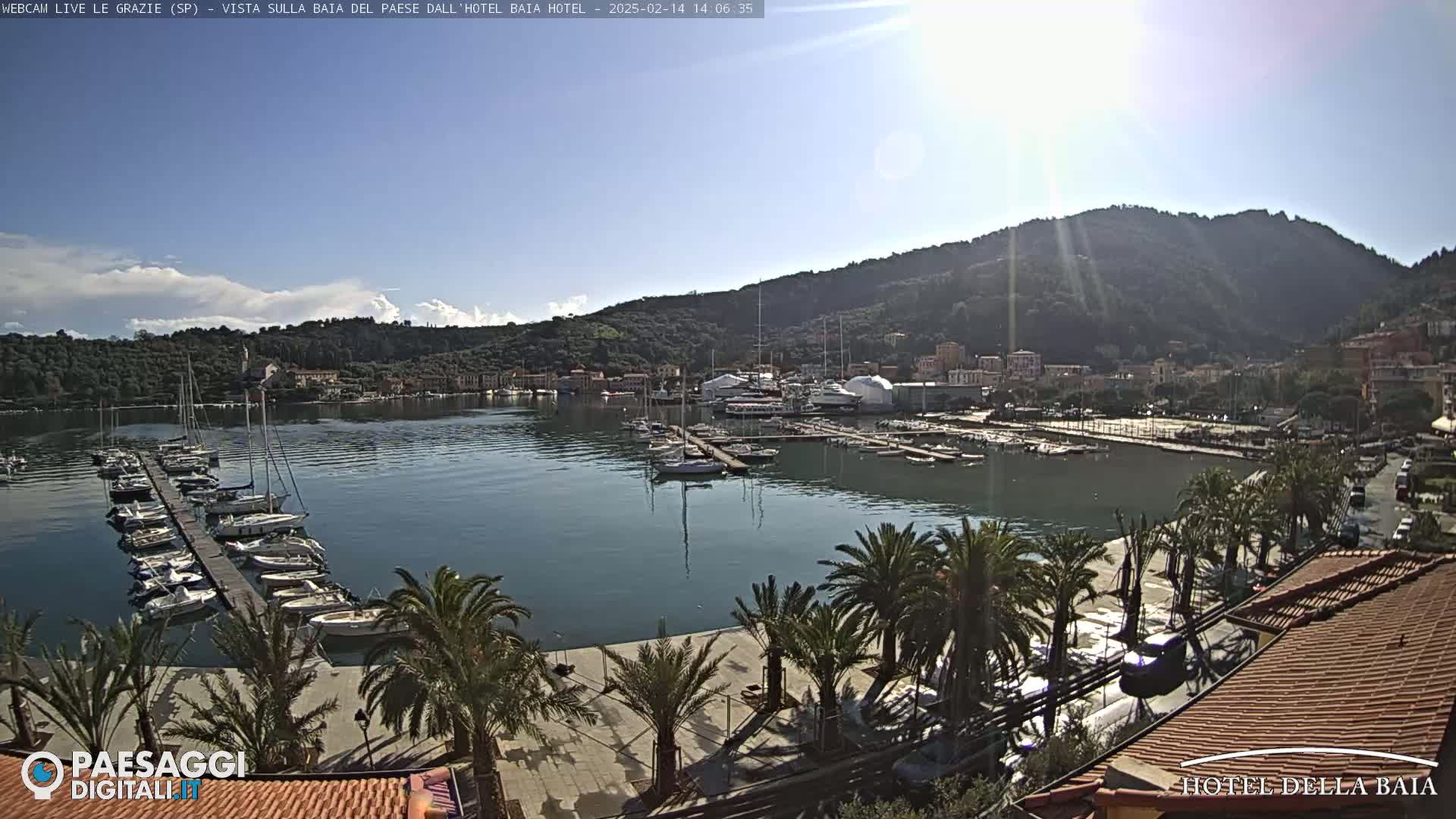A sunny harbor scene shows numerous sailboats docked at piers, a waterfront promenade lined with palm trees, and a town nestled against a hillside.
