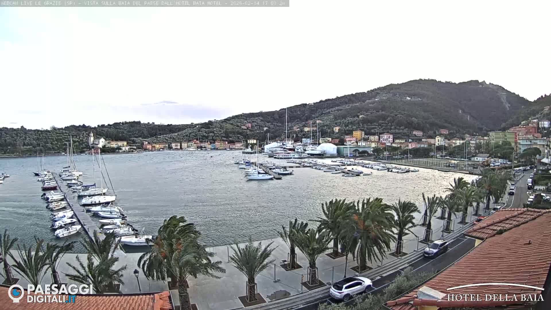 A harbor filled with sailboats and yachts is situated below a hillside town under an overcast sky.