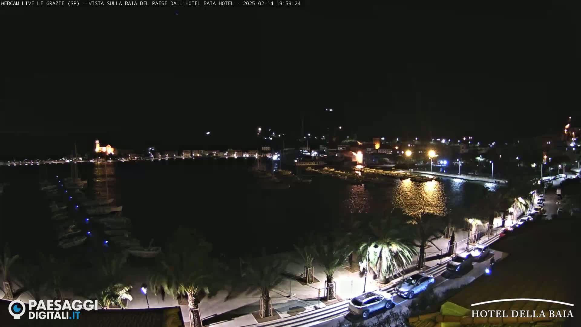 A nighttime view of a harbor town with boats moored, palm trees lining a waterfront promenade with parked cars, and buildings lit up in the distance.