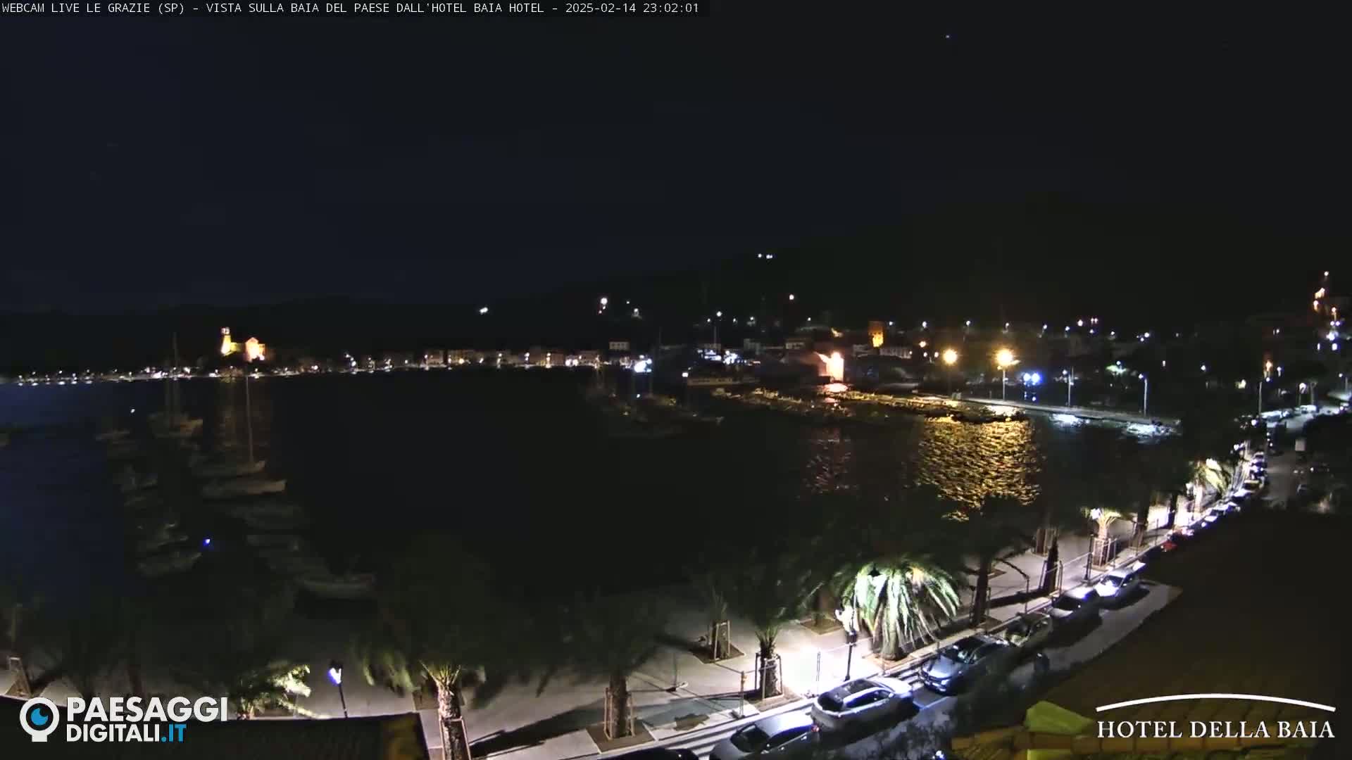 A nighttime view of a calm harbor, lined with palm trees and parked cars, shows a town illuminated across the water.