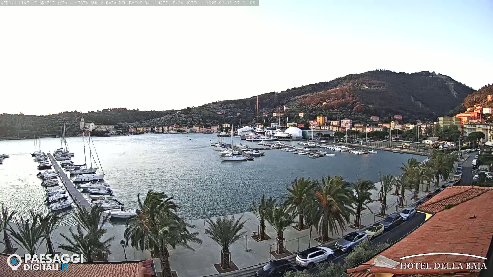 A calm harbor filled with sailboats and yachts is situated below a hillside town, under a clear sky.