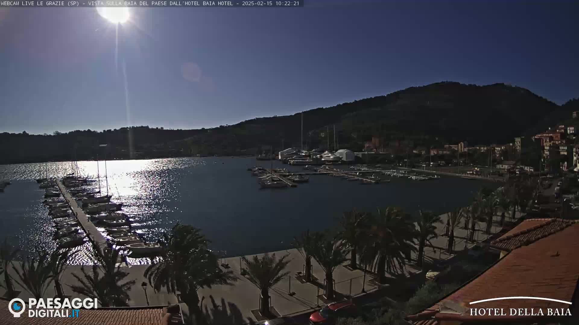 A sunny harbor scene shows numerous boats docked at a pier, palm trees lining a walkway, and buildings nestled against a hillside.