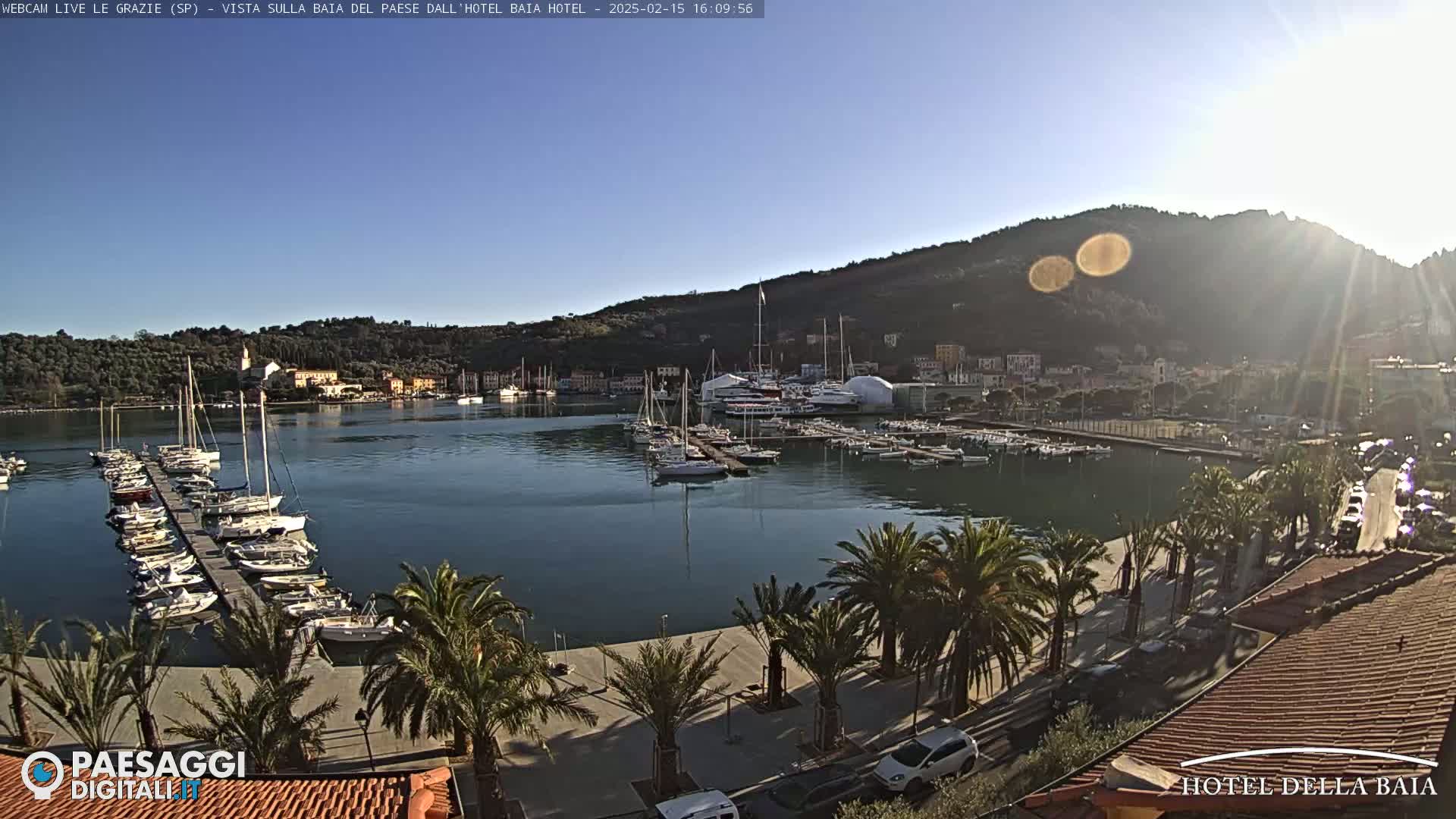 A sunny harbor scene shows a calm body of water filled with sailboats and yachts docked along a paved waterfront lined with palm trees, backed by a hillside town.