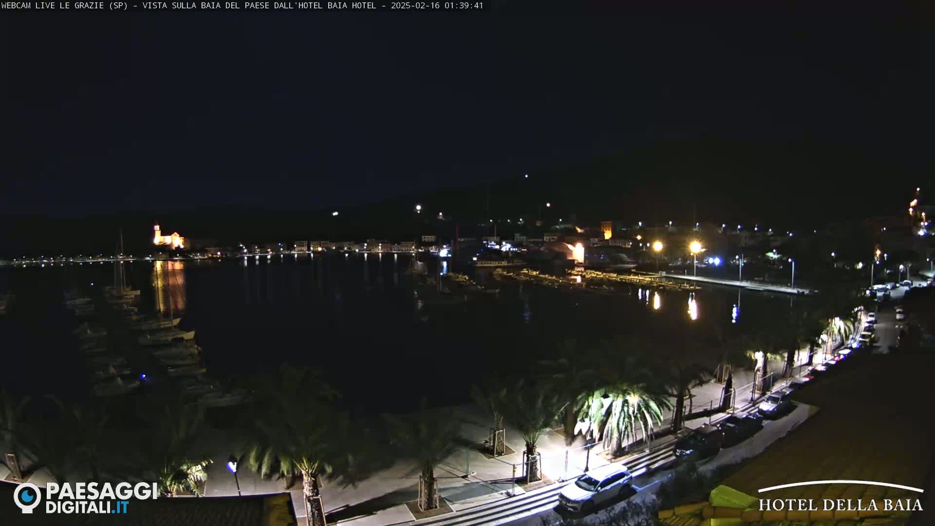 A nighttime view of a harbor with boats, palm trees lining a paved walkway, and buildings illuminated along the shore under a clear, dark sky.