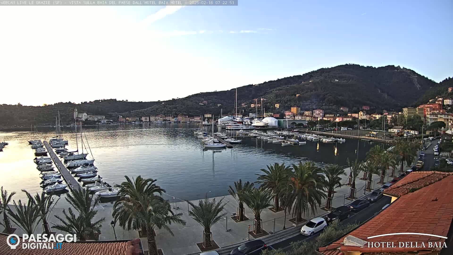 A calm harbor filled with sailboats and yachts is situated below a hillside town, under a clear twilight sky.