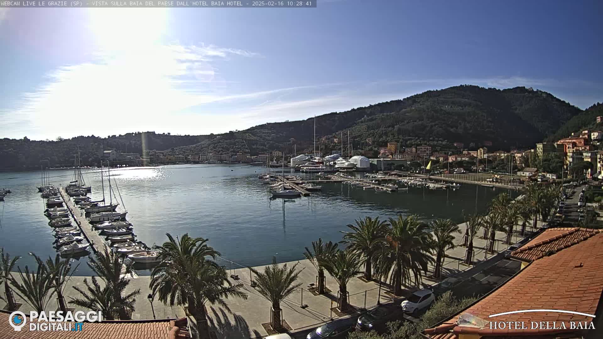 A sunny harbor filled with sailboats is nestled below a green hillside, lined with palm trees and buildings.
