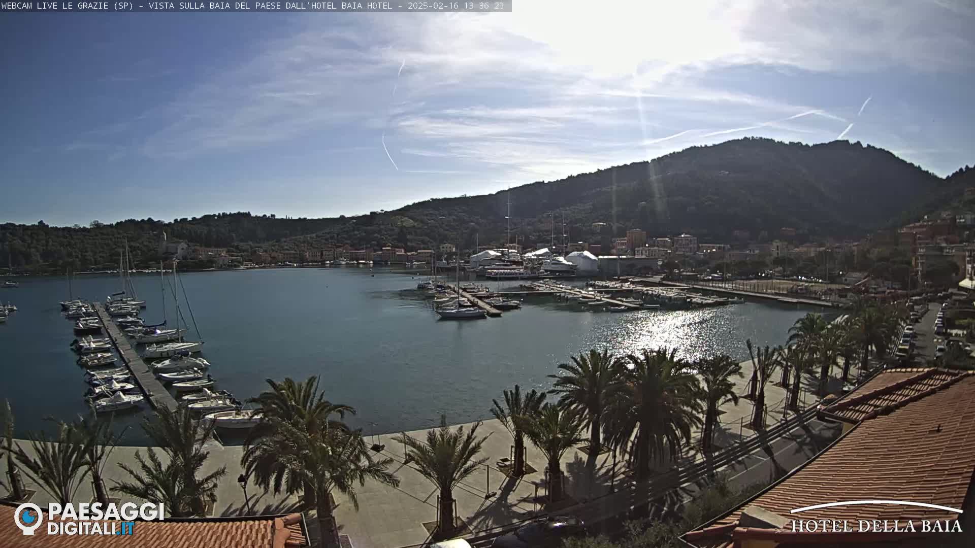 A harbor filled with sailboats is nestled below a hillside town under a mostly sunny sky.