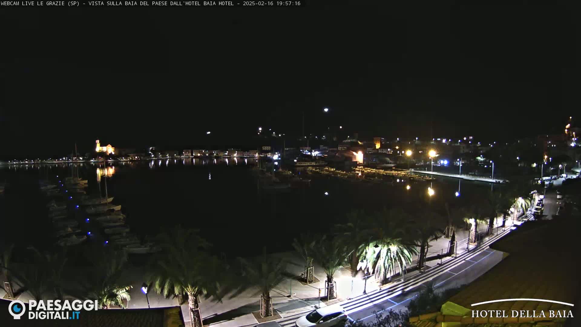A nighttime view of a harbor filled with boats, lined by palm trees and a paved walkway, with a town illuminated in the background under a clear, dark sky.