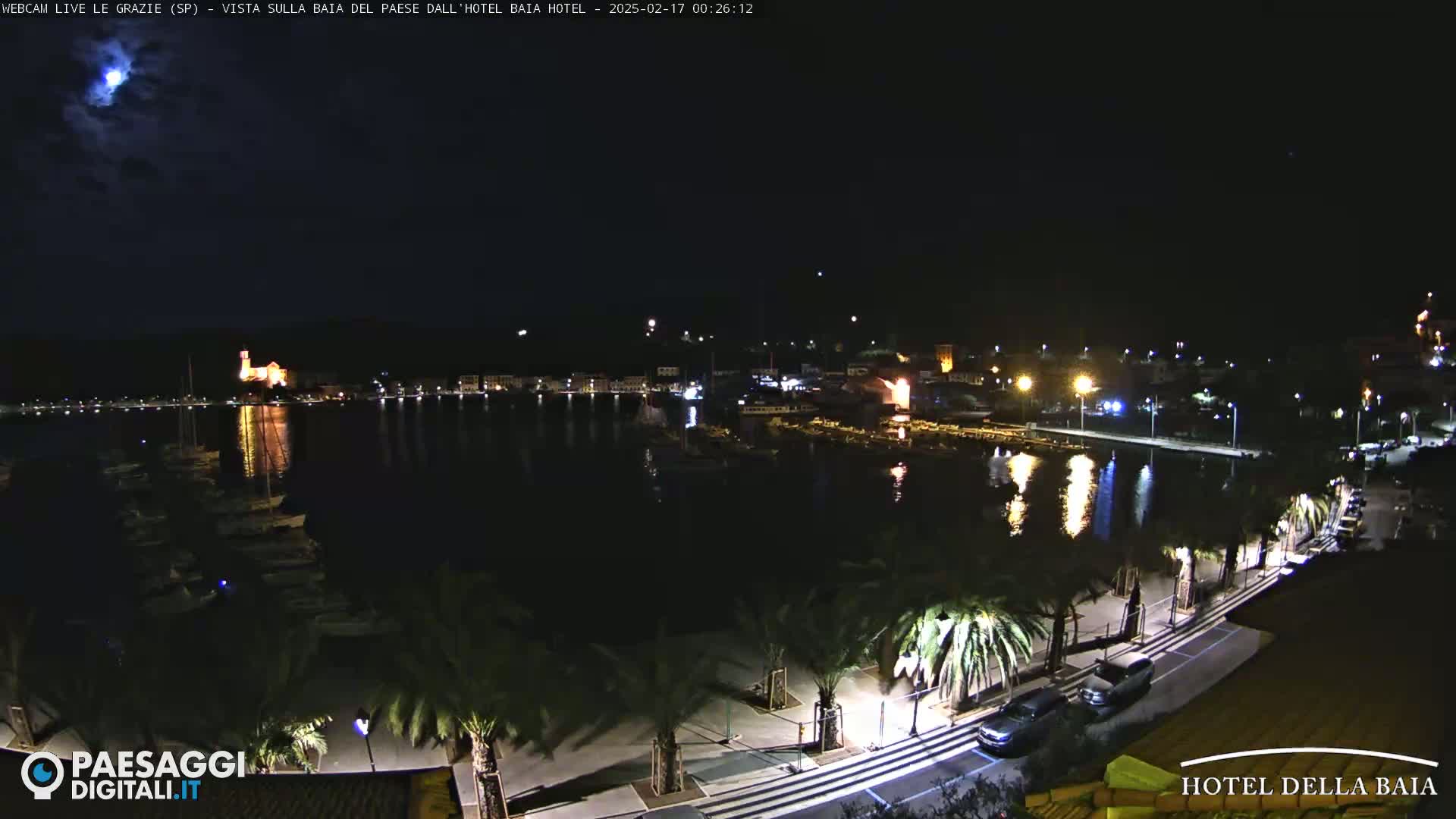 A nighttime view of a harbor with boats, palm trees lining a roadway, and a village with illuminated buildings in the background under a bright moon.