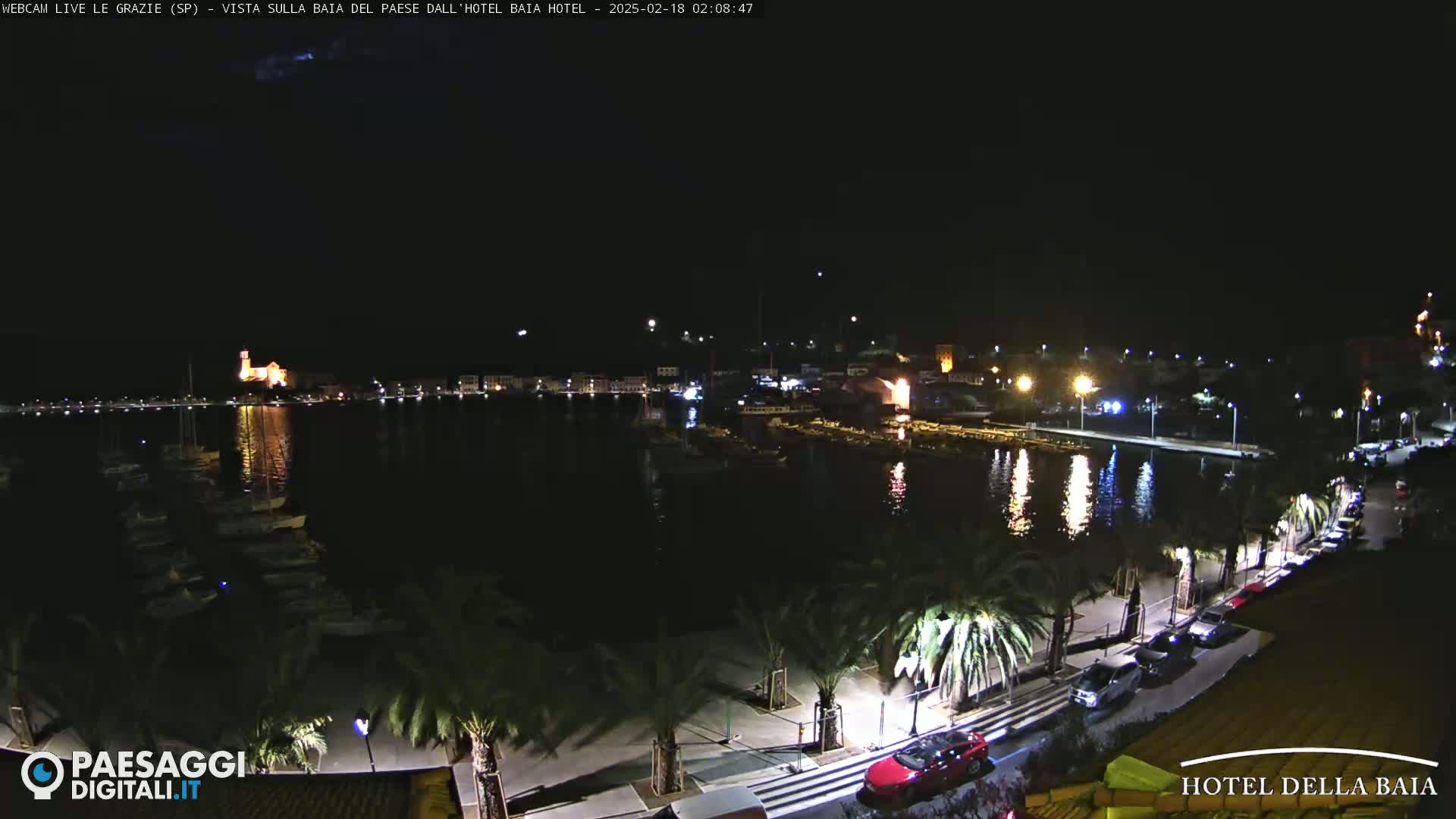 A nighttime view of a harbor town with boats in the water, palm trees lining a paved walkway, and cars parked along the road, under a mostly clear sky.