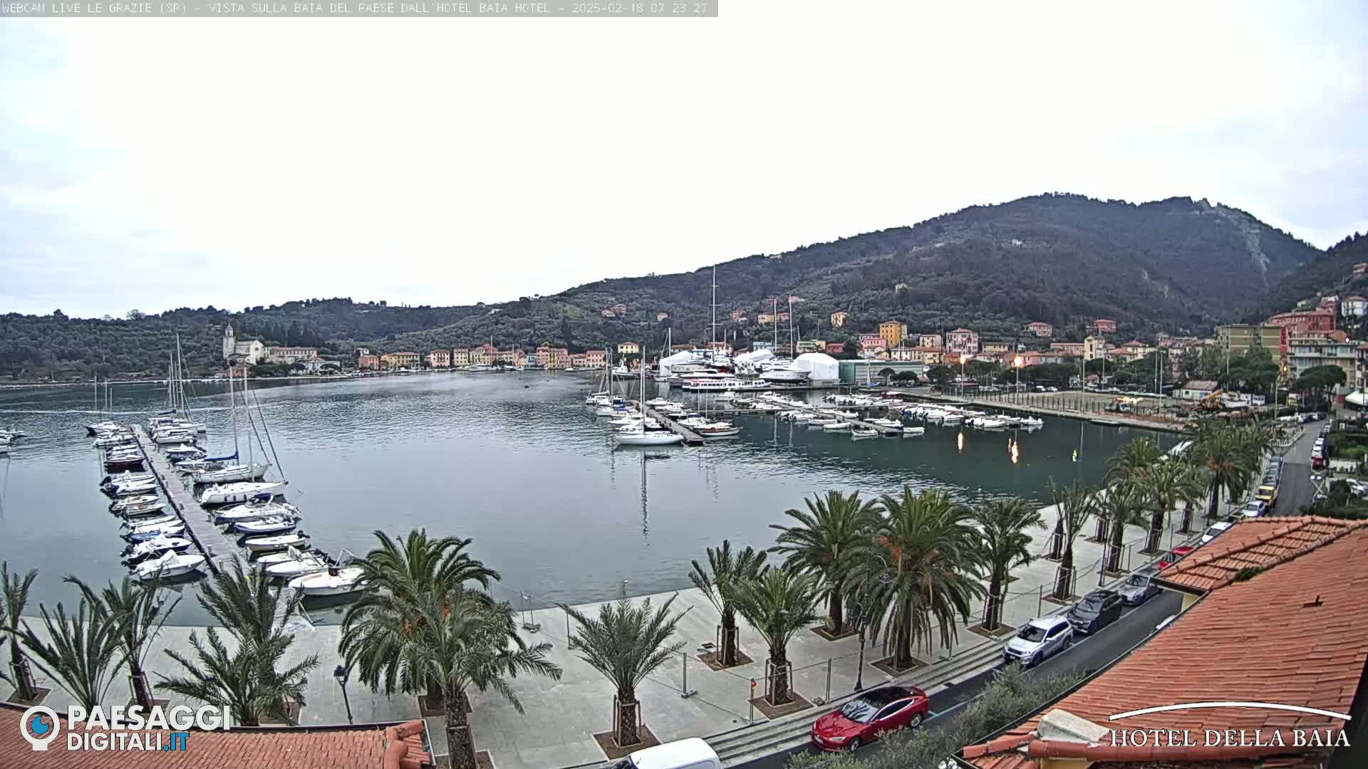 A harbor filled with sailboats and yachts sits below a hillside town under an overcast sky.