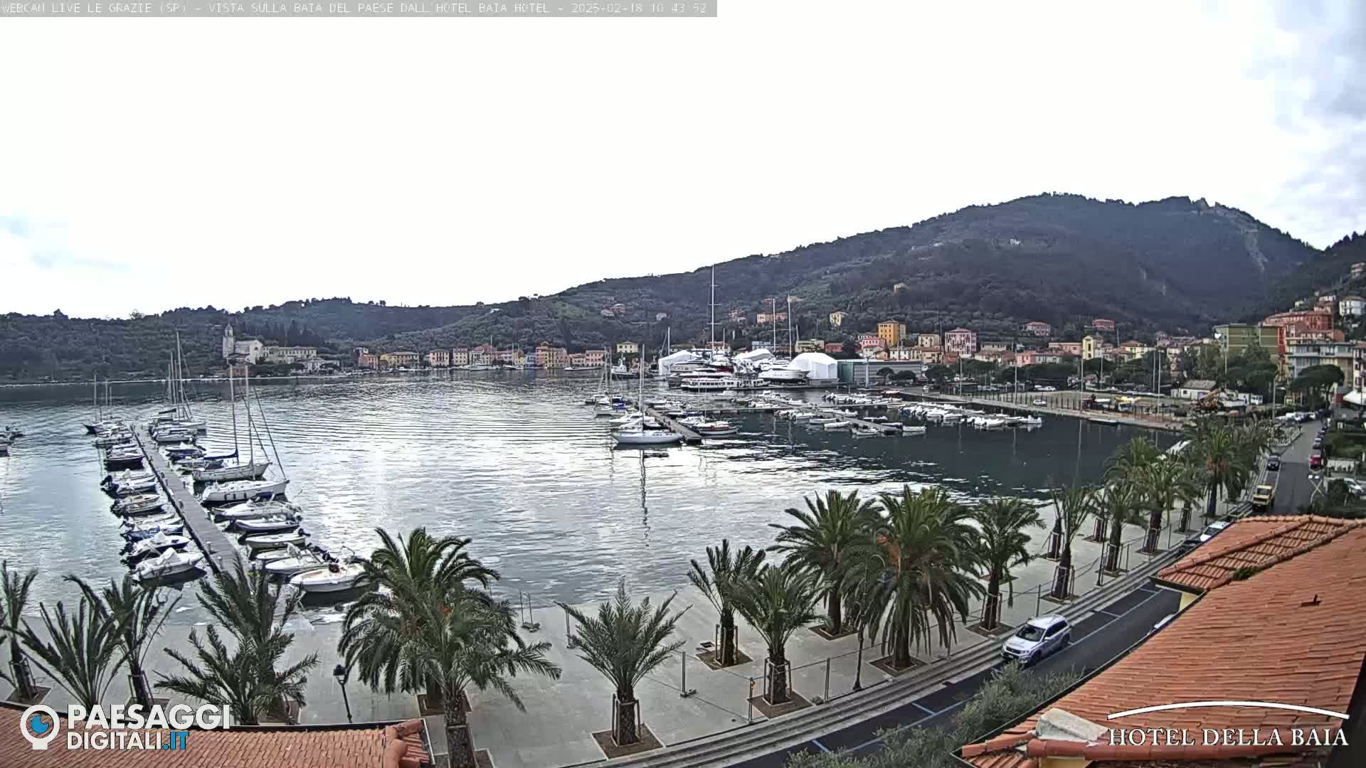 A calm harbor filled with sailboats is situated next to a town nestled against a mountainside under an overcast sky.