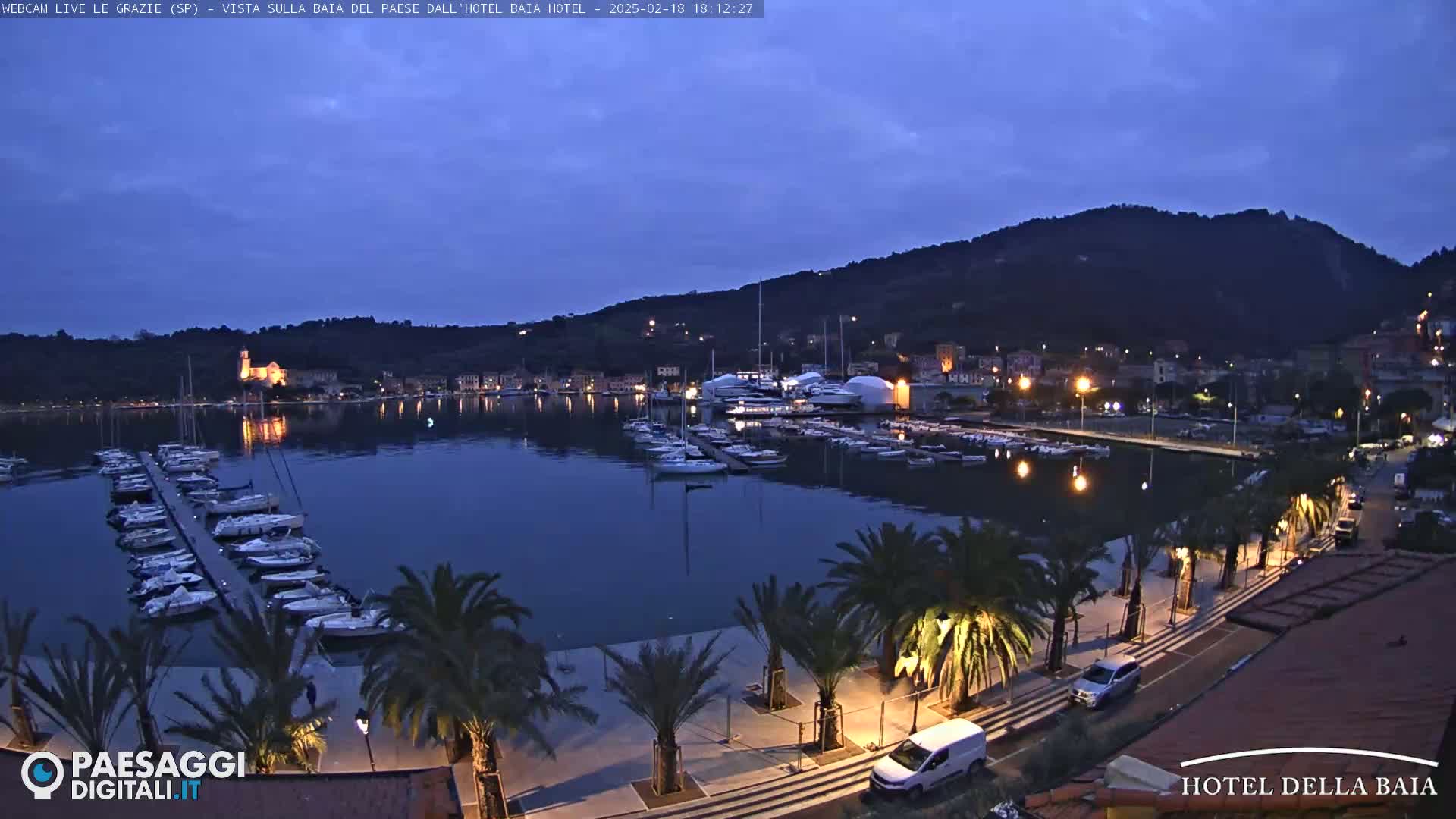 A harbor filled with boats at dusk, under a twilight sky, is lined with palm trees and bordered by a town nestled against a hill.