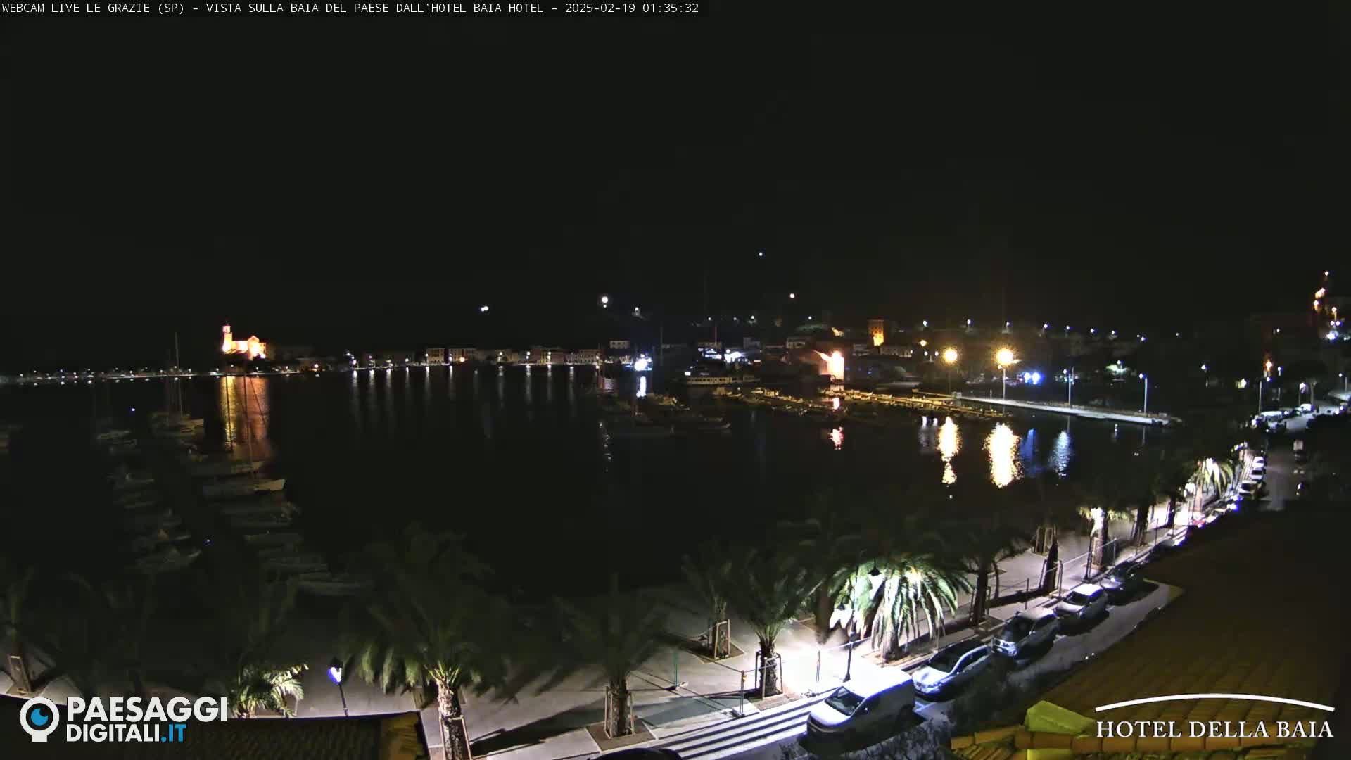 A nighttime view of a harbor town with palm trees lining a waterfront road, boats in the harbor, and lights illuminating buildings across the water.
