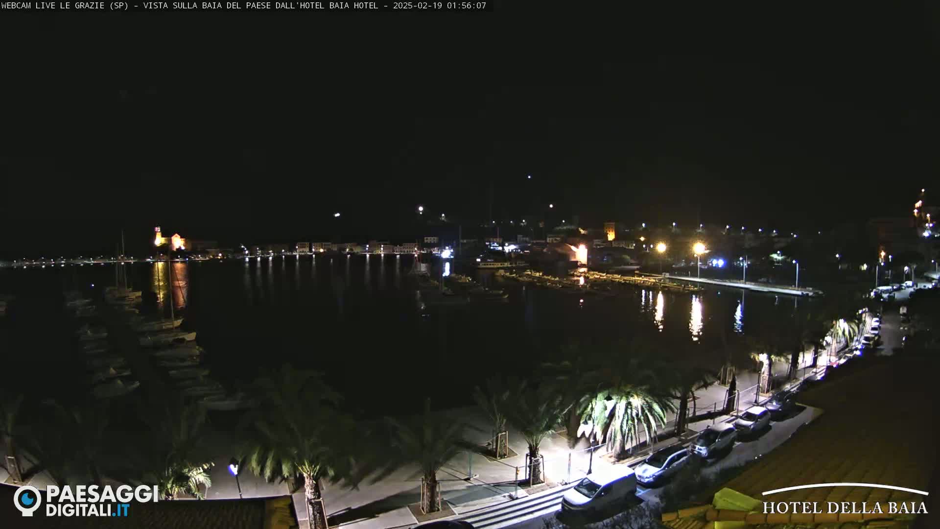 A nighttime harbor scene shows a calm body of water with boats moored, a town's lights reflecting on the water, and palm trees lining a paved walkway.