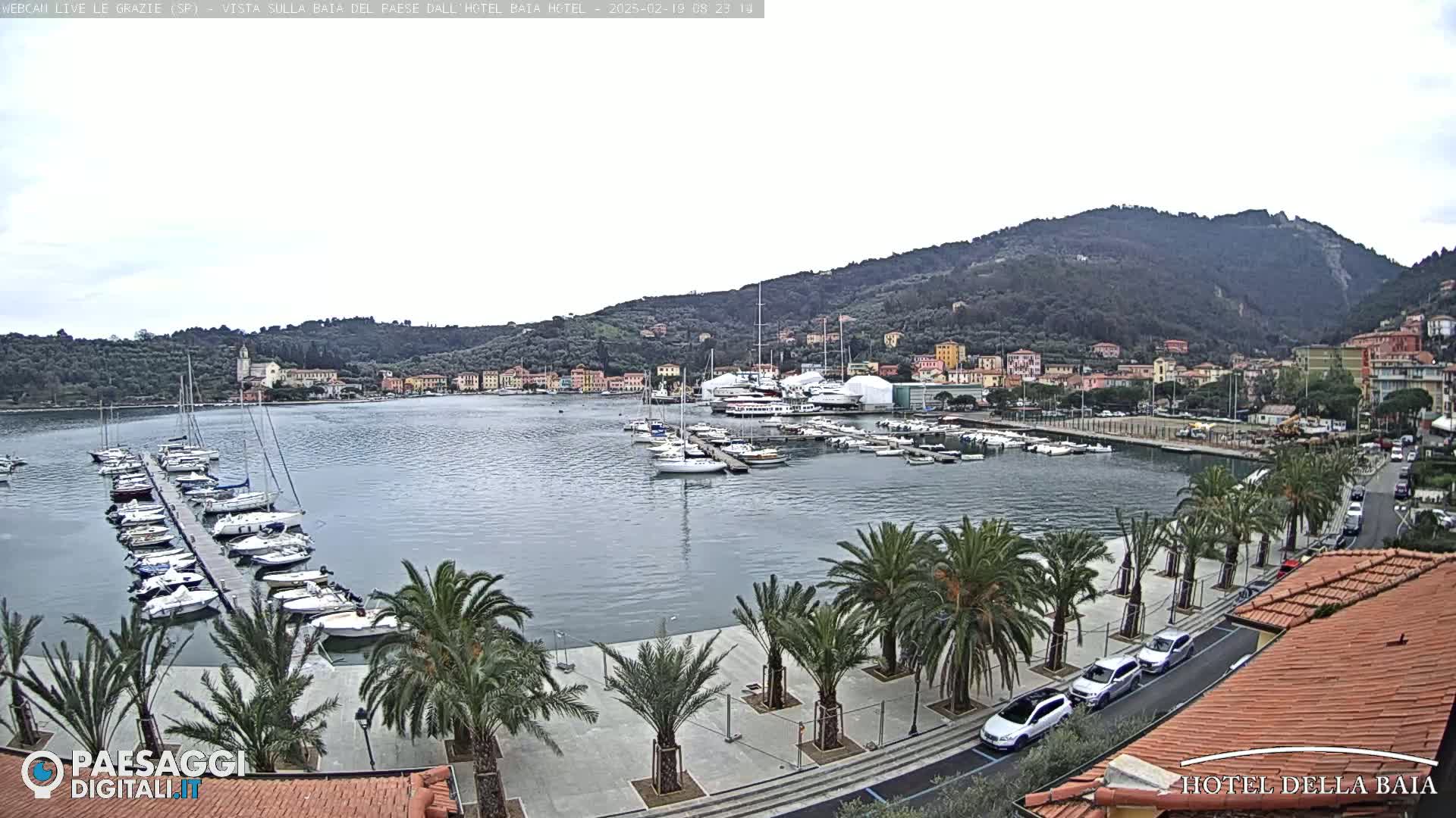 A harbor filled with boats is seen under an overcast sky, with palm trees lining a paved walkway along the waterfront and a hillside town in the background.