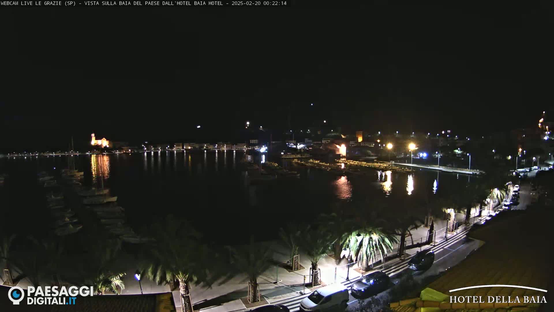 A nighttime view of a harbor with boats moored, a town with lit buildings in the background, and a palm tree-lined street leading to the water.
