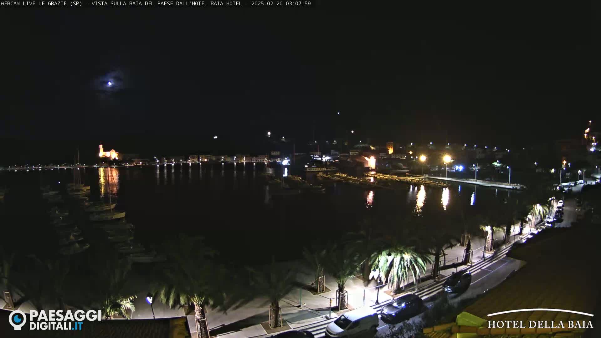 A nighttime view of a harbor with boats, lit buildings, and palm trees lining a waterfront road under a clear, moonlit sky.