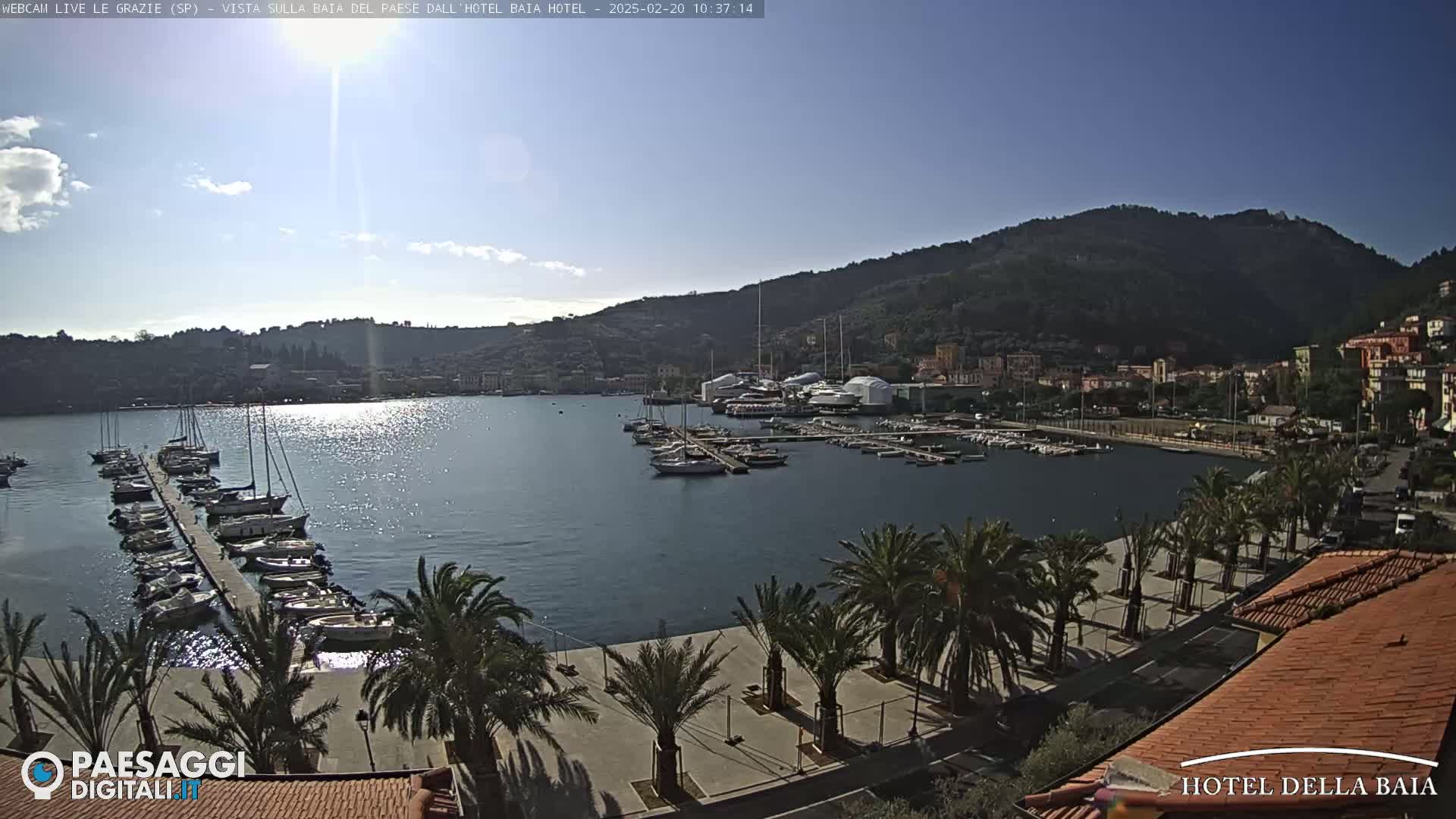 A harbor filled with sailboats and yachts is nestled beneath a clear, sunny sky and hillsides dotted with buildings and palm trees.