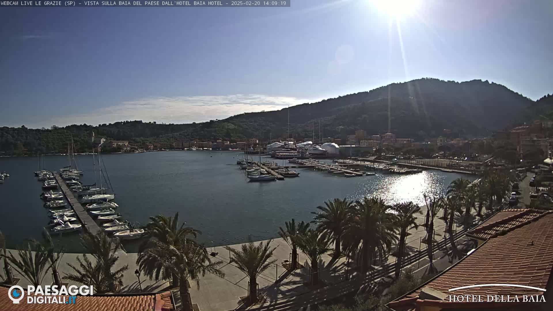 A sunny harbor filled with sailboats is nestled below a hilltop town, palm trees lining the waterfront.