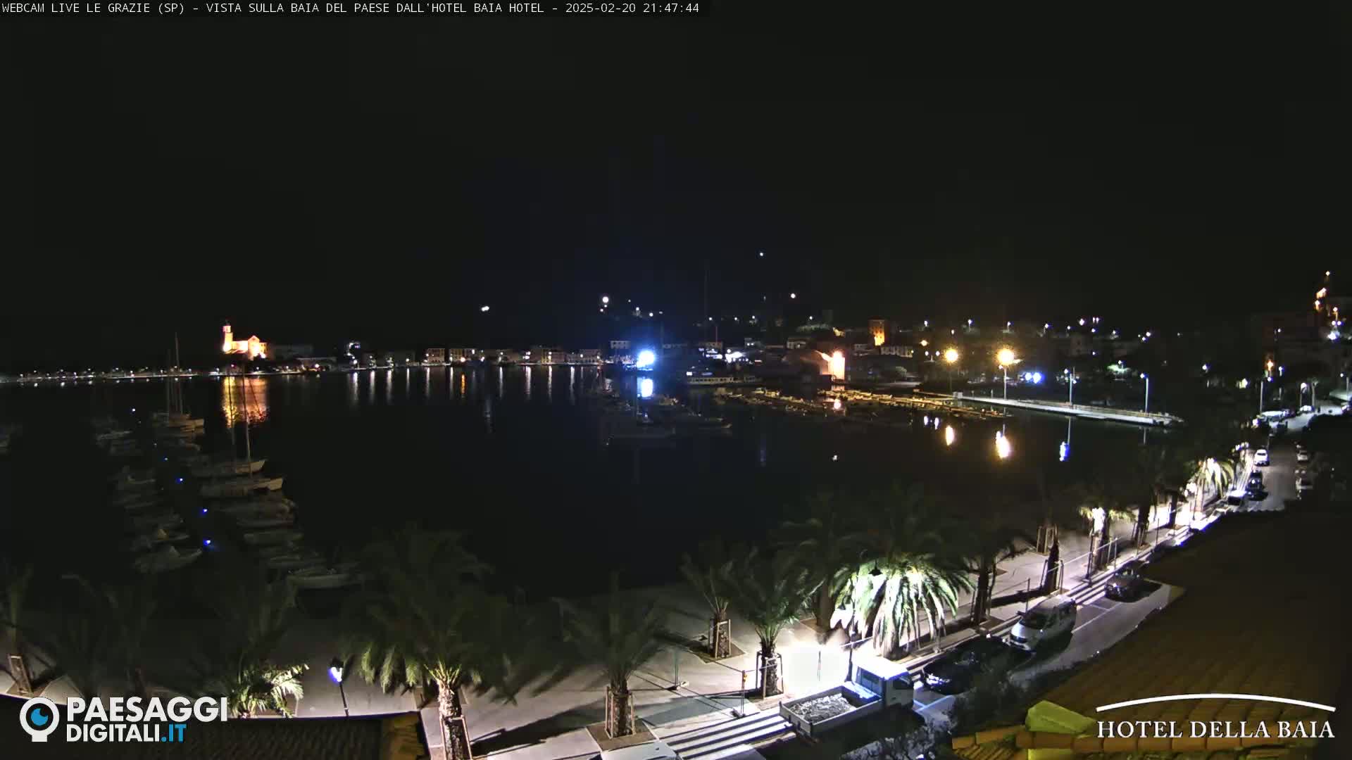 A nighttime, waterfront view of a town with boats docked at a marina, palm trees lining a paved walkway, and buildings illuminated on a hill in the distance.