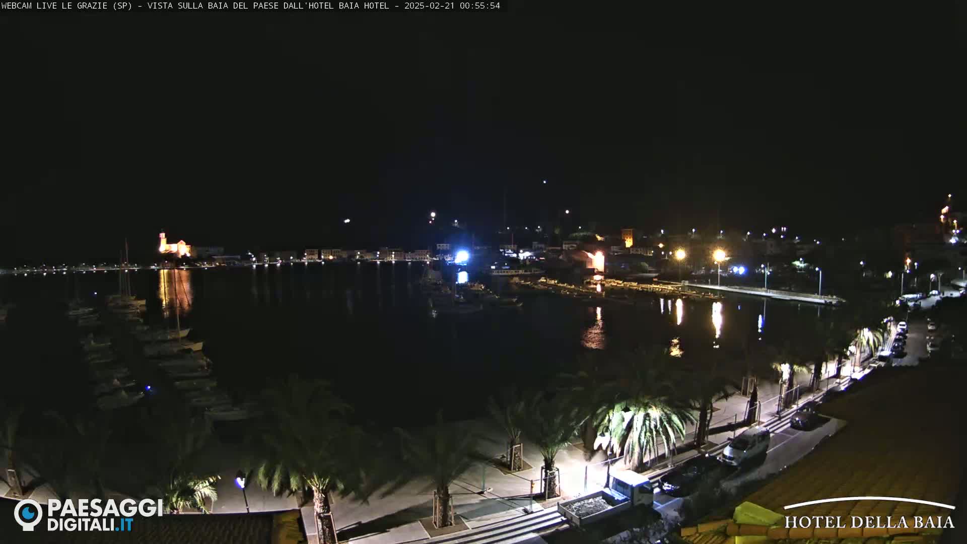 A nighttime view of a harbor filled with boats, a town with lit buildings, and a waterfront promenade lined with palm trees under a clear, dark sky.