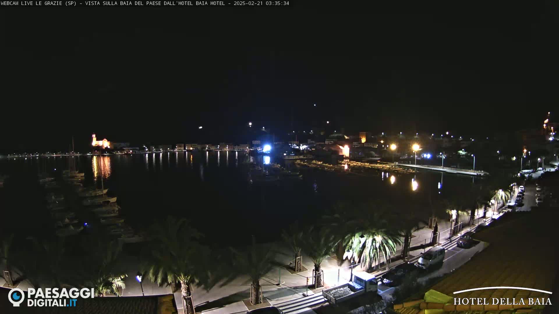 A nighttime view of a harbor filled with boats, lined with palm trees and illuminated buildings along a waterfront promenade.