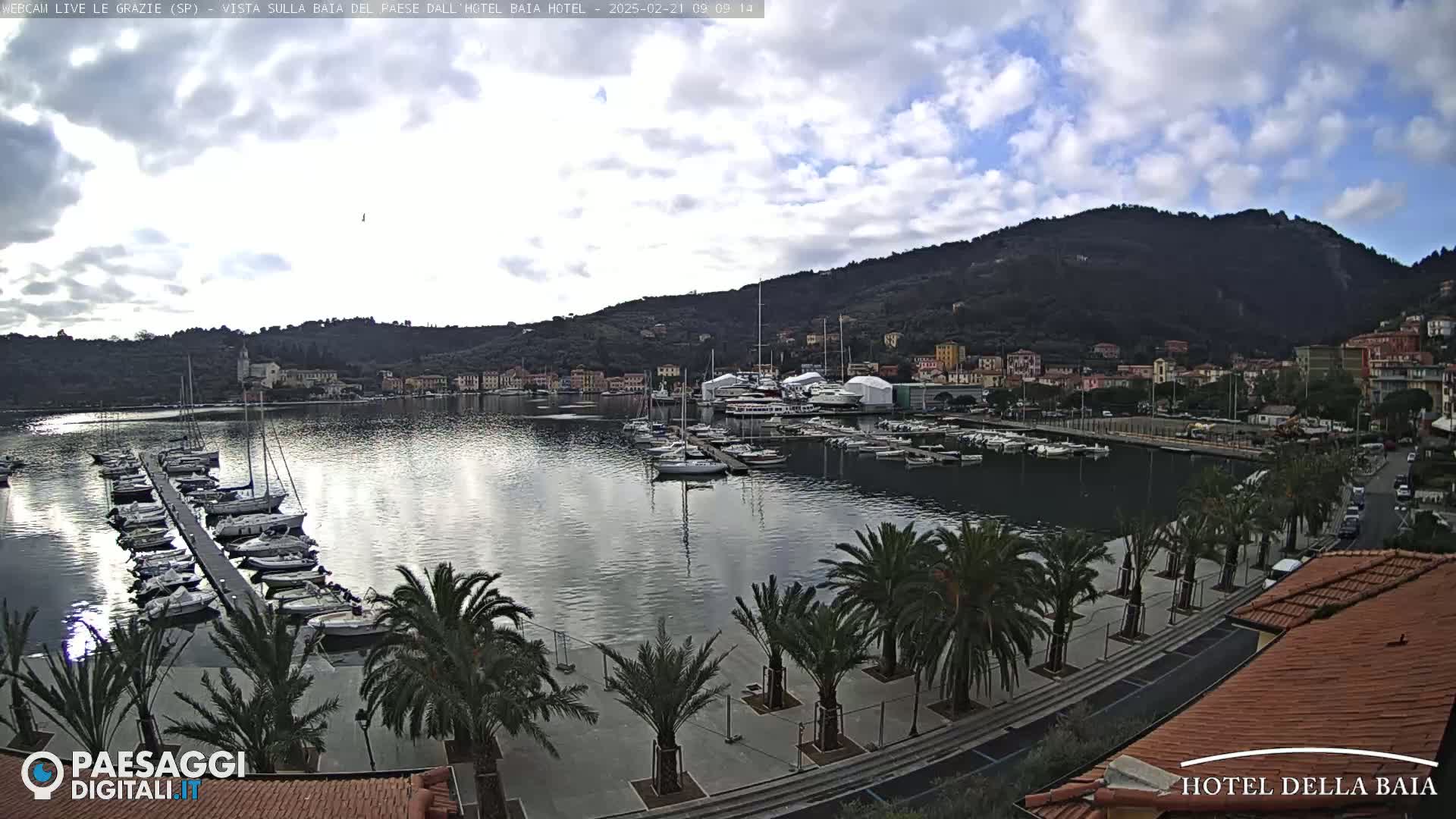 A harbor filled with sailboats and yachts is nestled beneath a cloudy sky, backed by a hillside town and mountains.