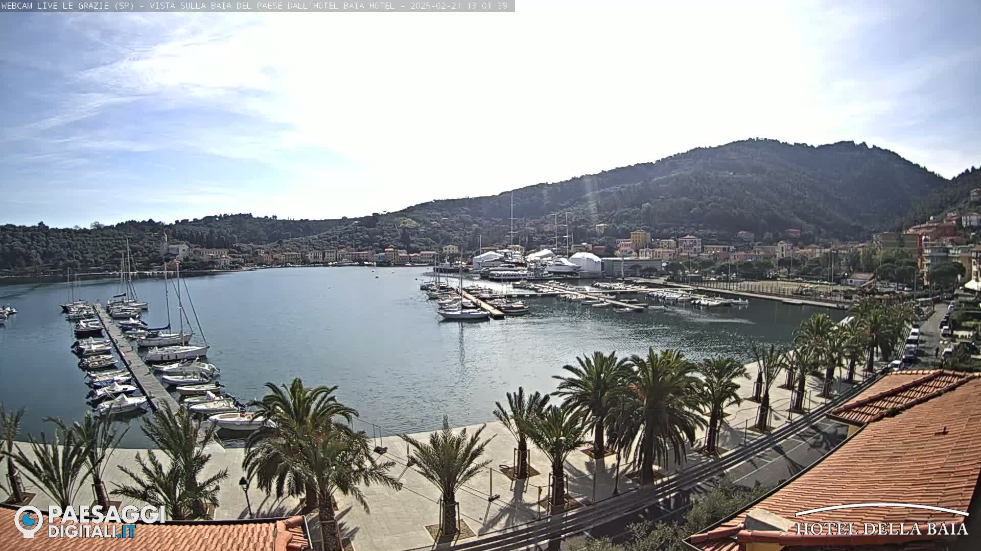 A harbor filled with sailboats is situated below a town nestled against a hillside under a mostly clear sky.