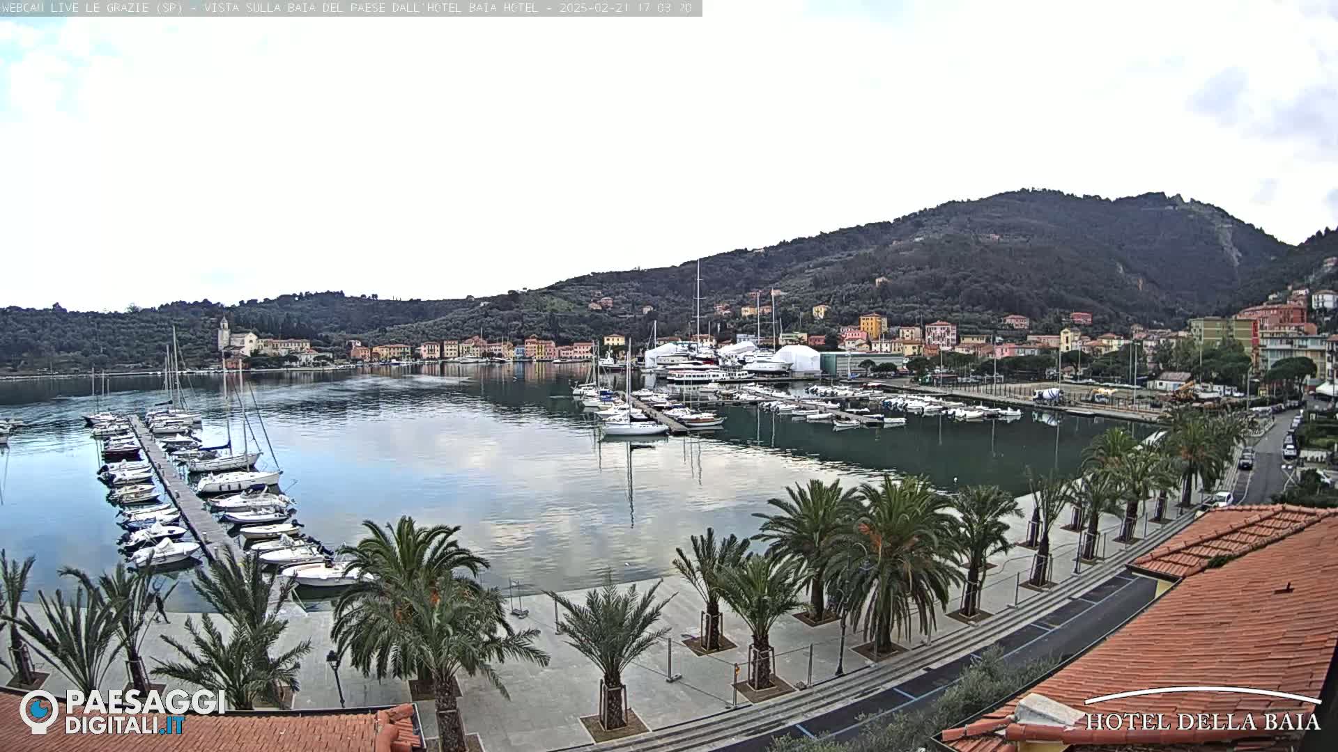 A calm bay with a marina full of boats is surrounded by a town nestled against a hillside, under an overcast sky.
