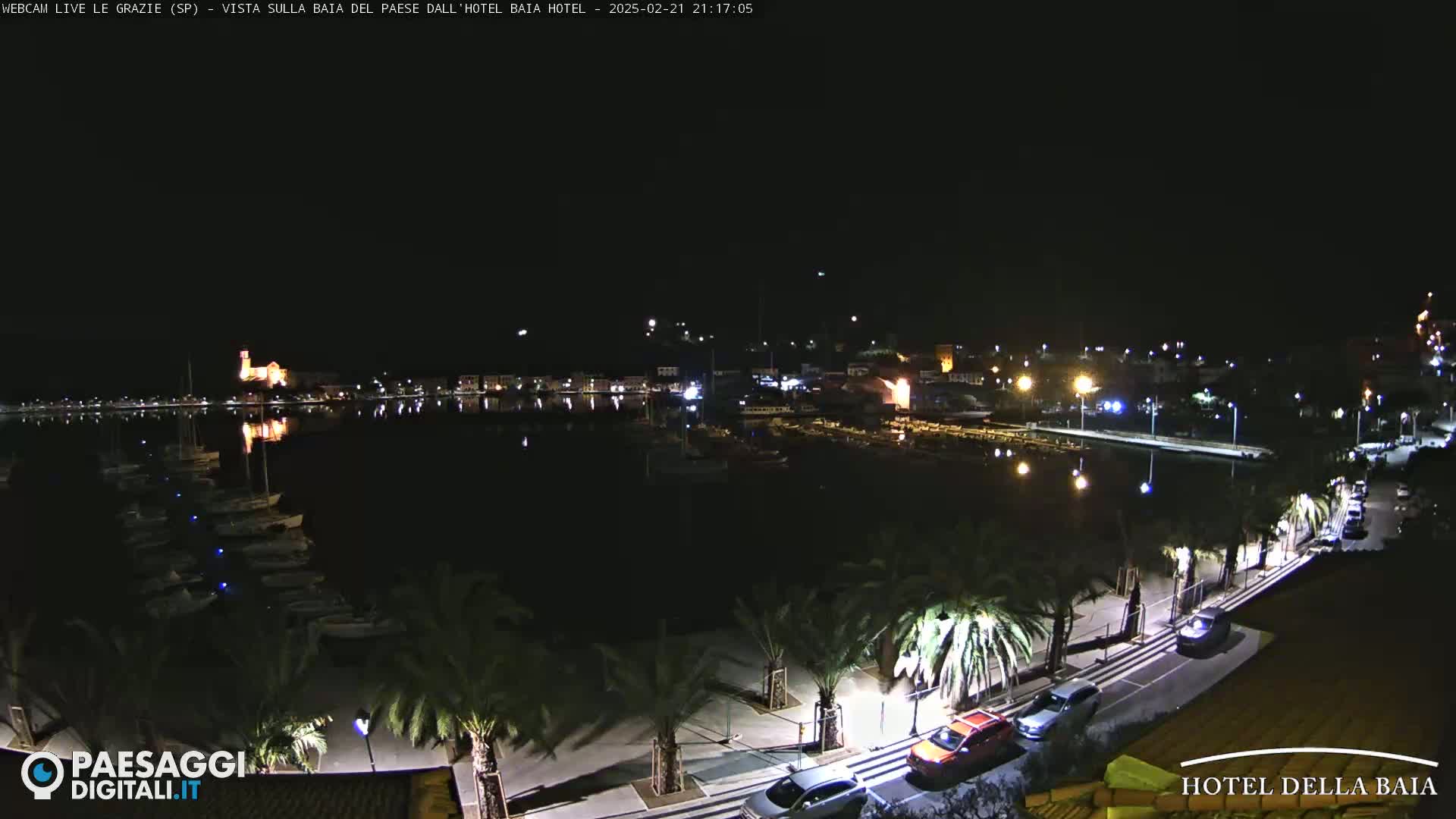 A nighttime view of a harbor with boats, palm trees lining a paved walkway, and cars parked along the road, under a clear sky.