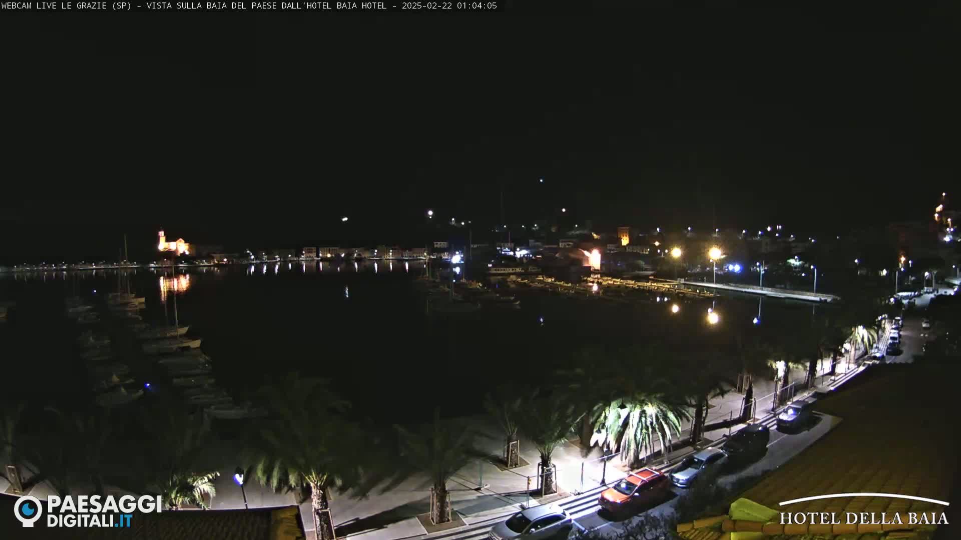 A nighttime view of a harbor filled with boats, a town with illuminated buildings, and a palm tree-lined road with parked cars under a clear, dark sky.