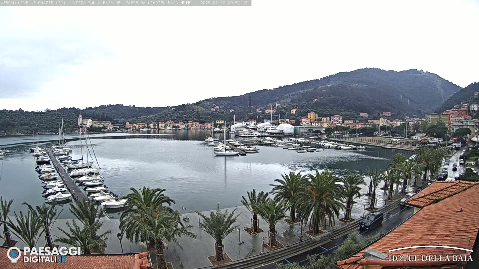 A harbor filled with sailboats and yachts is situated below a hillside town under an overcast sky.