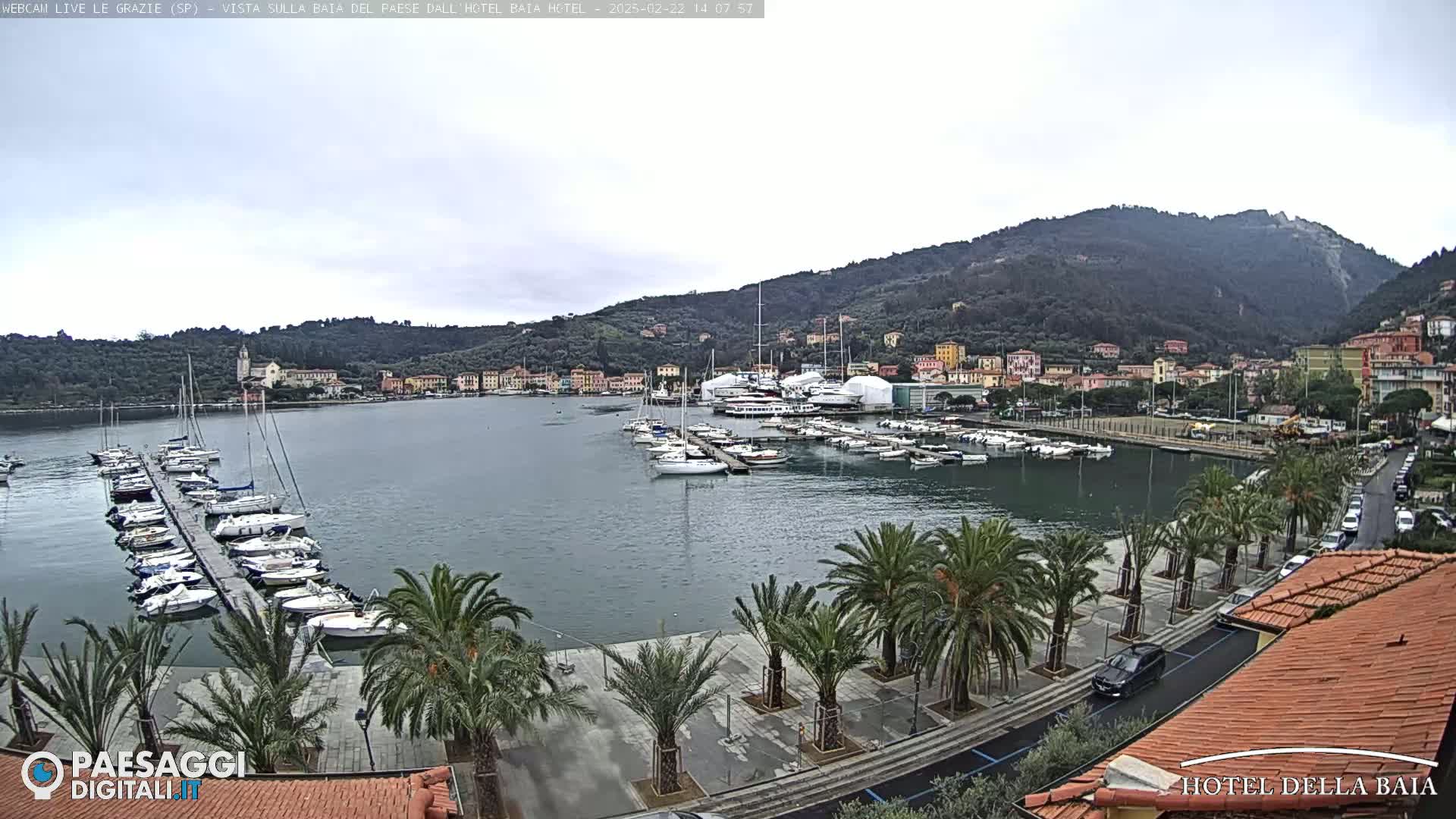 A harbor filled with sailboats and yachts is situated below a hillside town under an overcast sky.