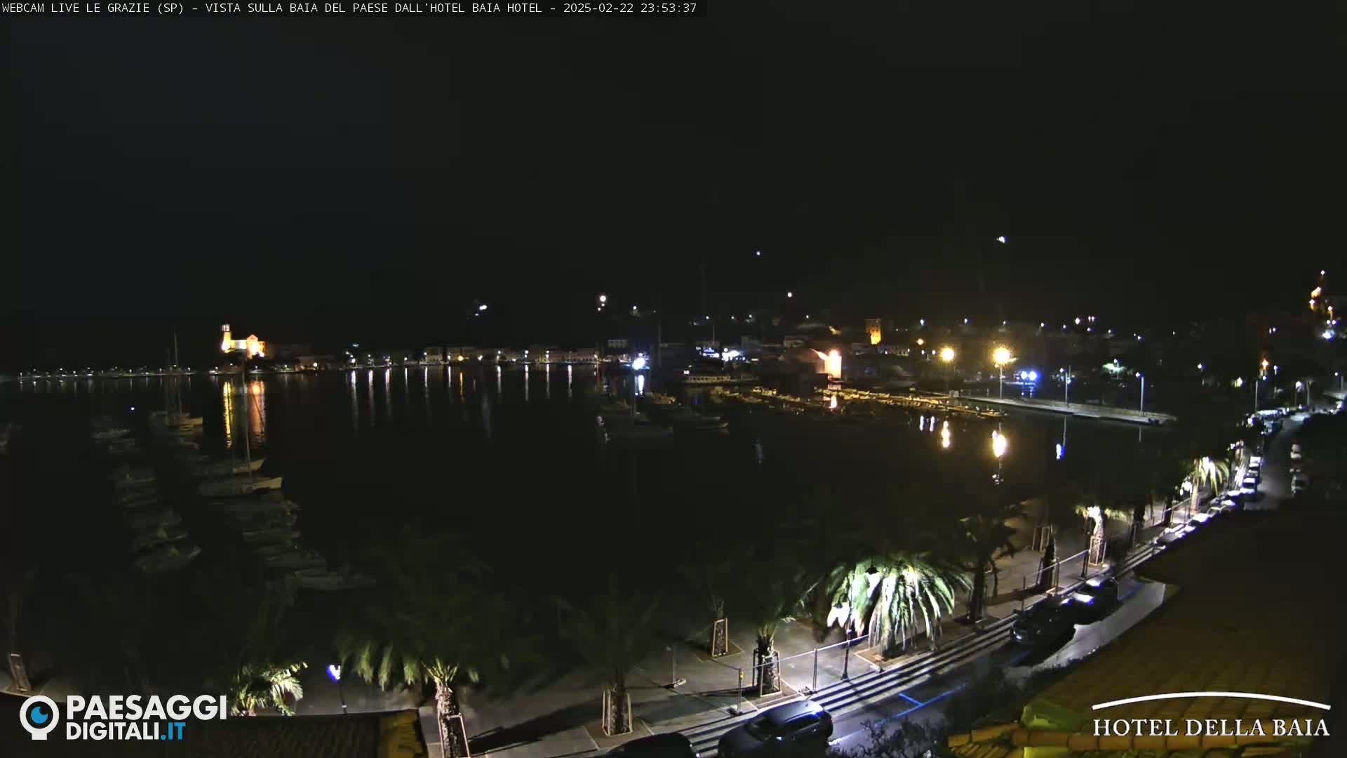 A nighttime, clear view of a harbor filled with boats, a town with lights, and palm trees lining a roadway.