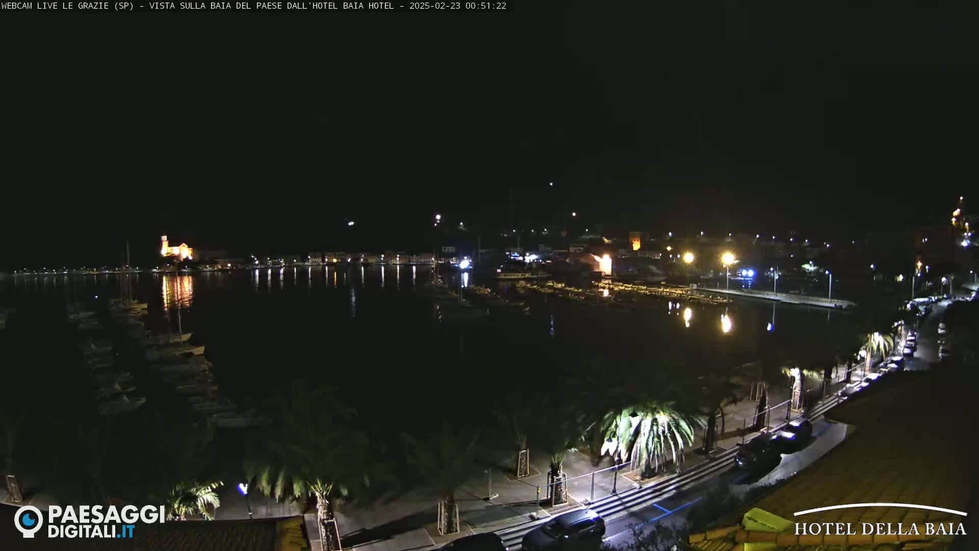 A nighttime view of a harbor with boats, a town with lights, and palm trees lining a road along the waterfront.