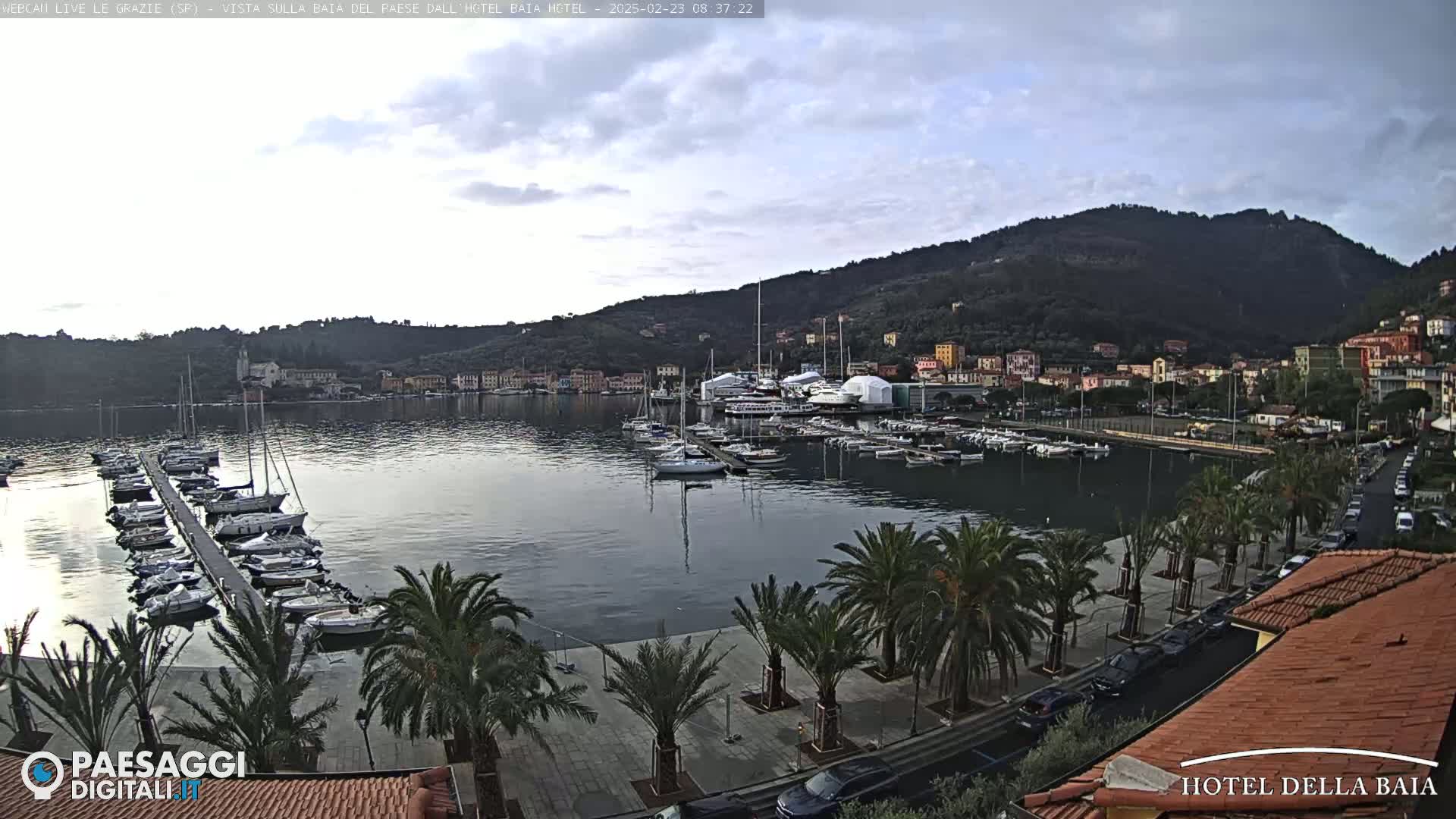A harbor filled with boats is situated below a hillside town under a mostly cloudy sky.