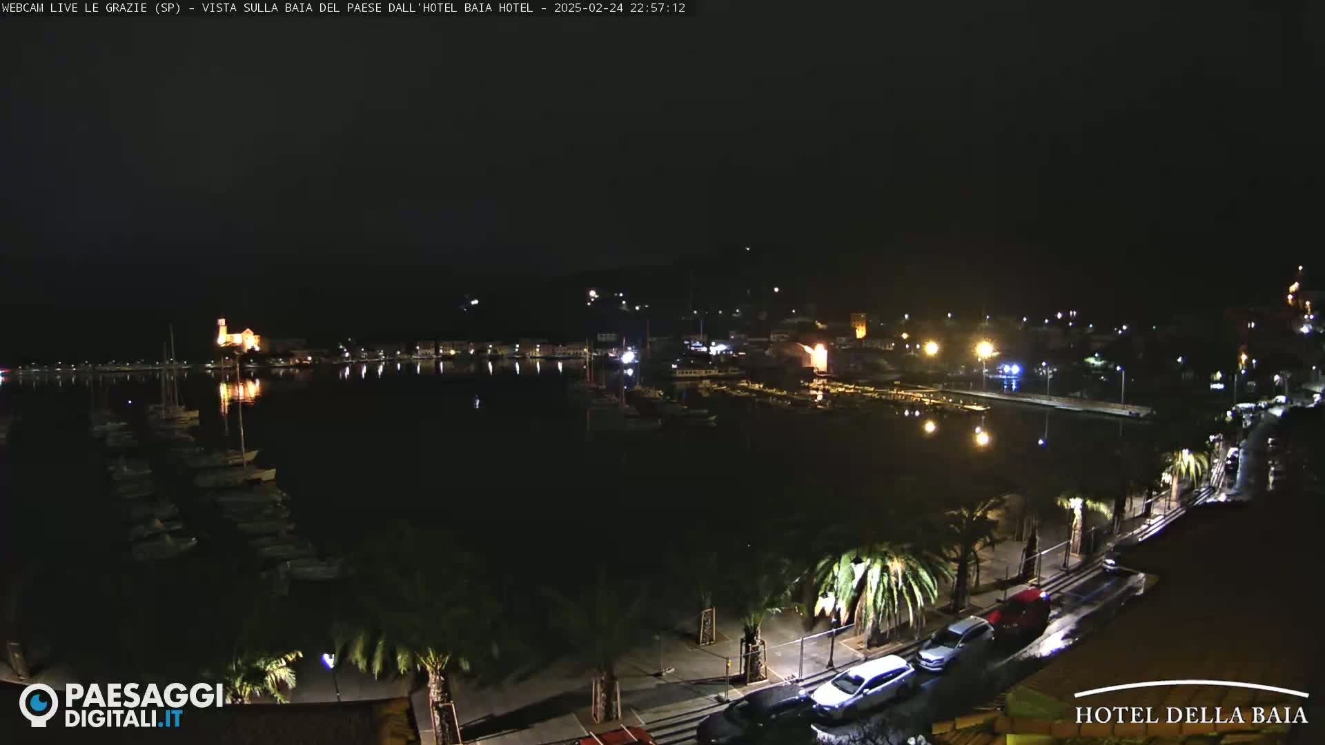 A nighttime, harbor-side view of a town, with boats in the water and palm trees lining a roadway.