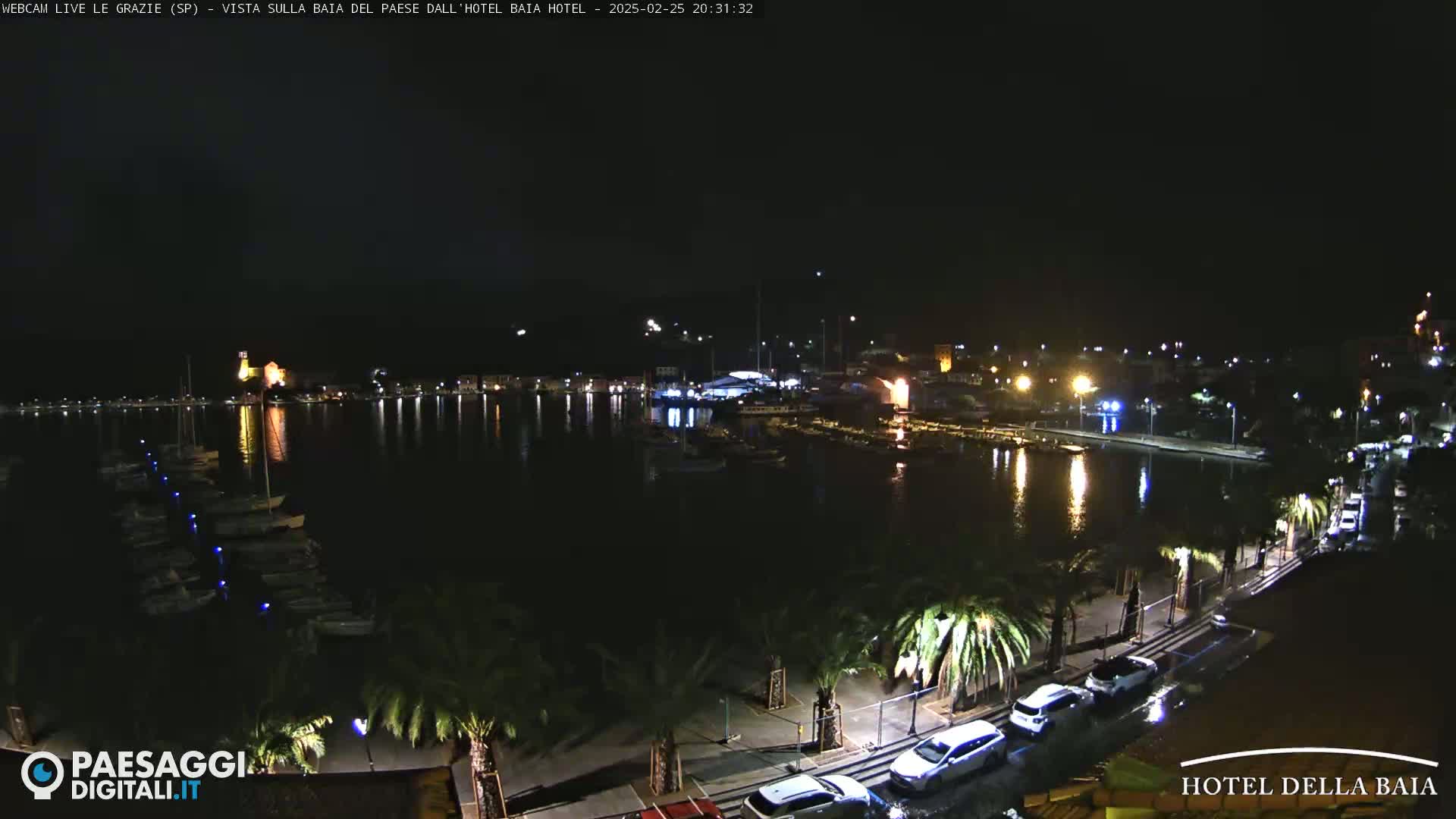 A nighttime view of a harbor filled with boats, a town with lights, and palm trees lining a waterfront road under a clear, dark sky.