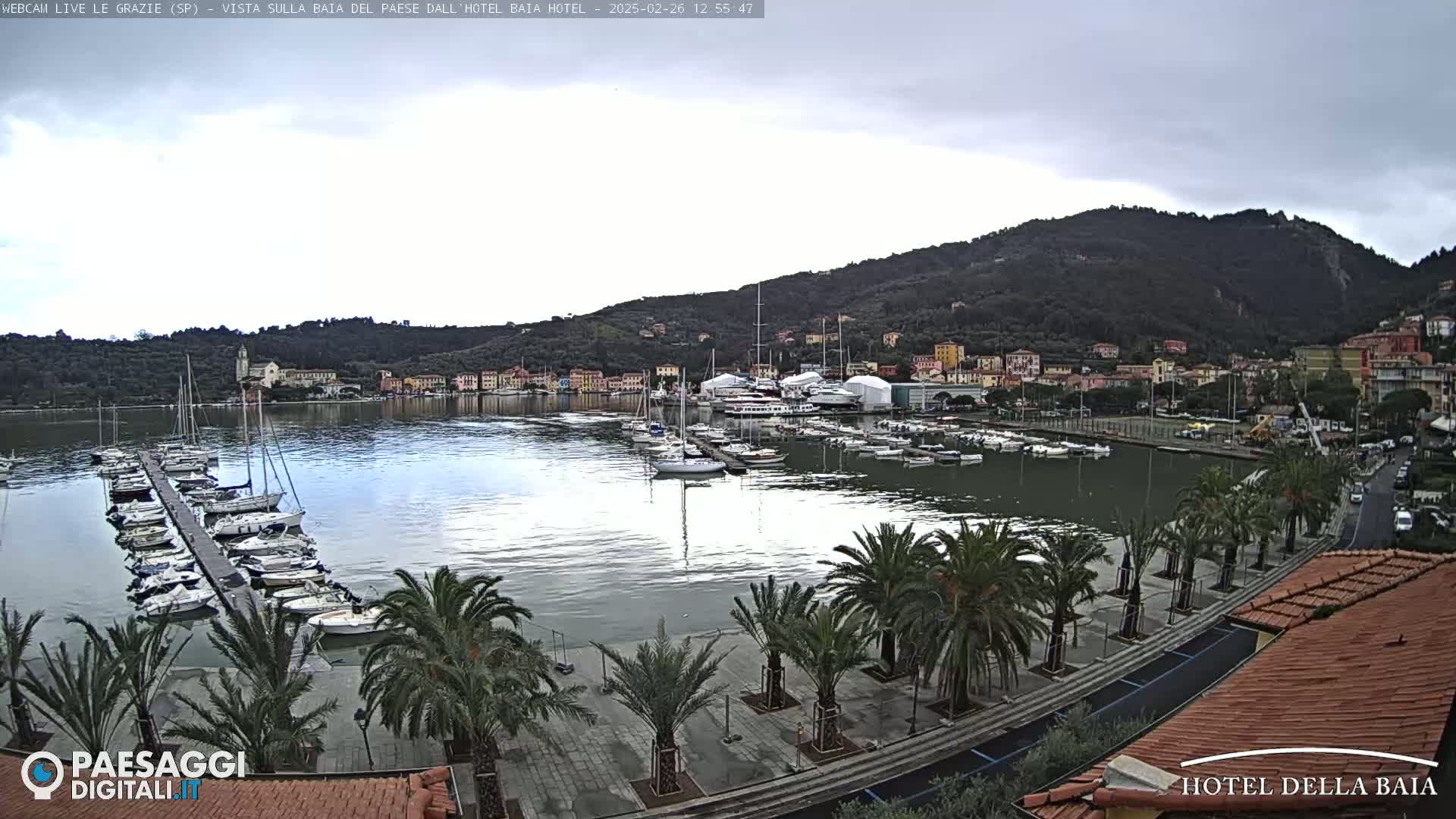 A harbor filled with sailboats and yachts is situated below a hillside town under an overcast sky.
