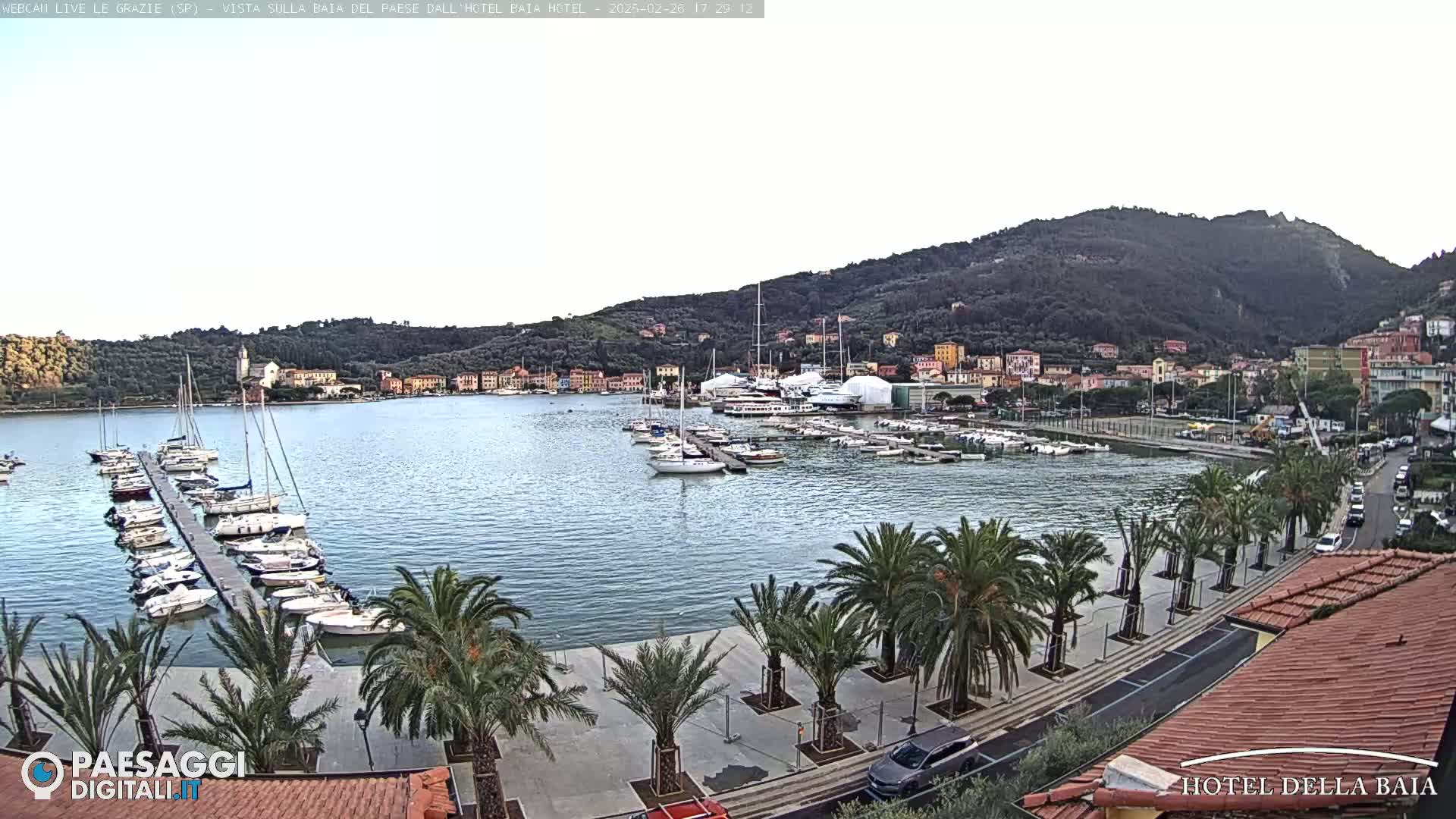 A calm harbor filled with sailboats and yachts is nestled against a hillside town under an overcast sky.