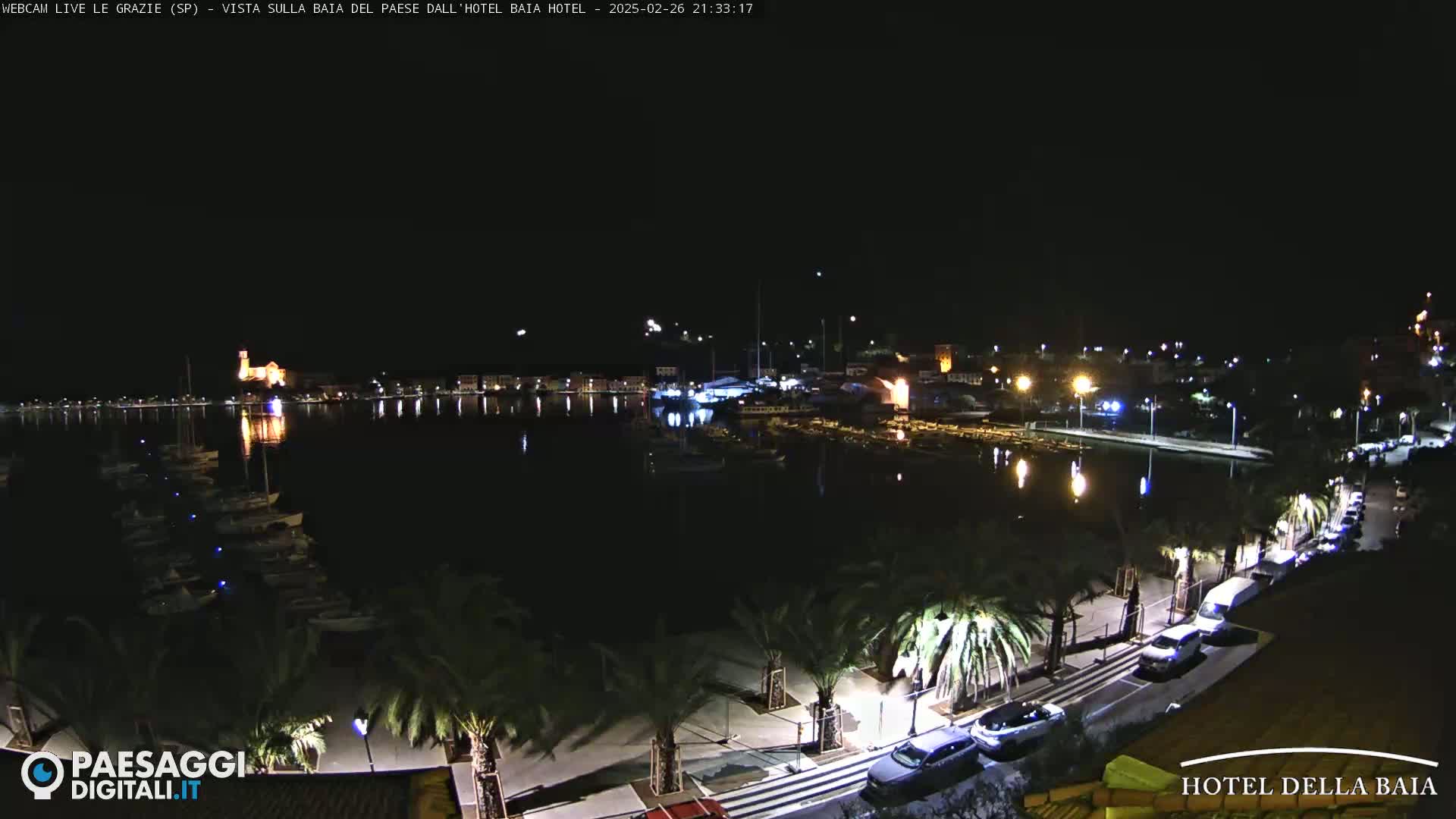 A nighttime view of a harbor filled with boats, a town illuminated by lights, and palm trees lining a roadway.