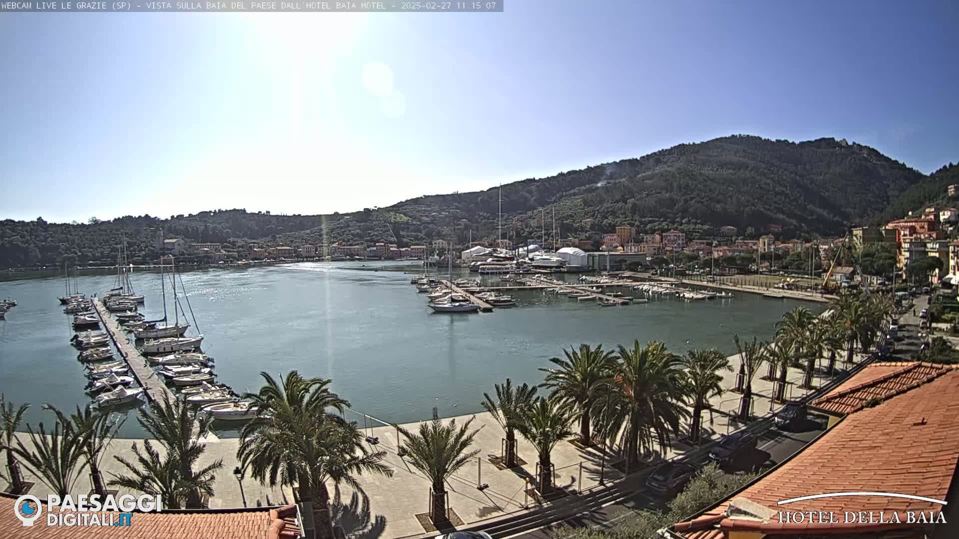 A harbor filled with sailboats and motorboats is nestled beneath a sunny sky and a verdant hillside, lined with palm trees along a paved walkway.