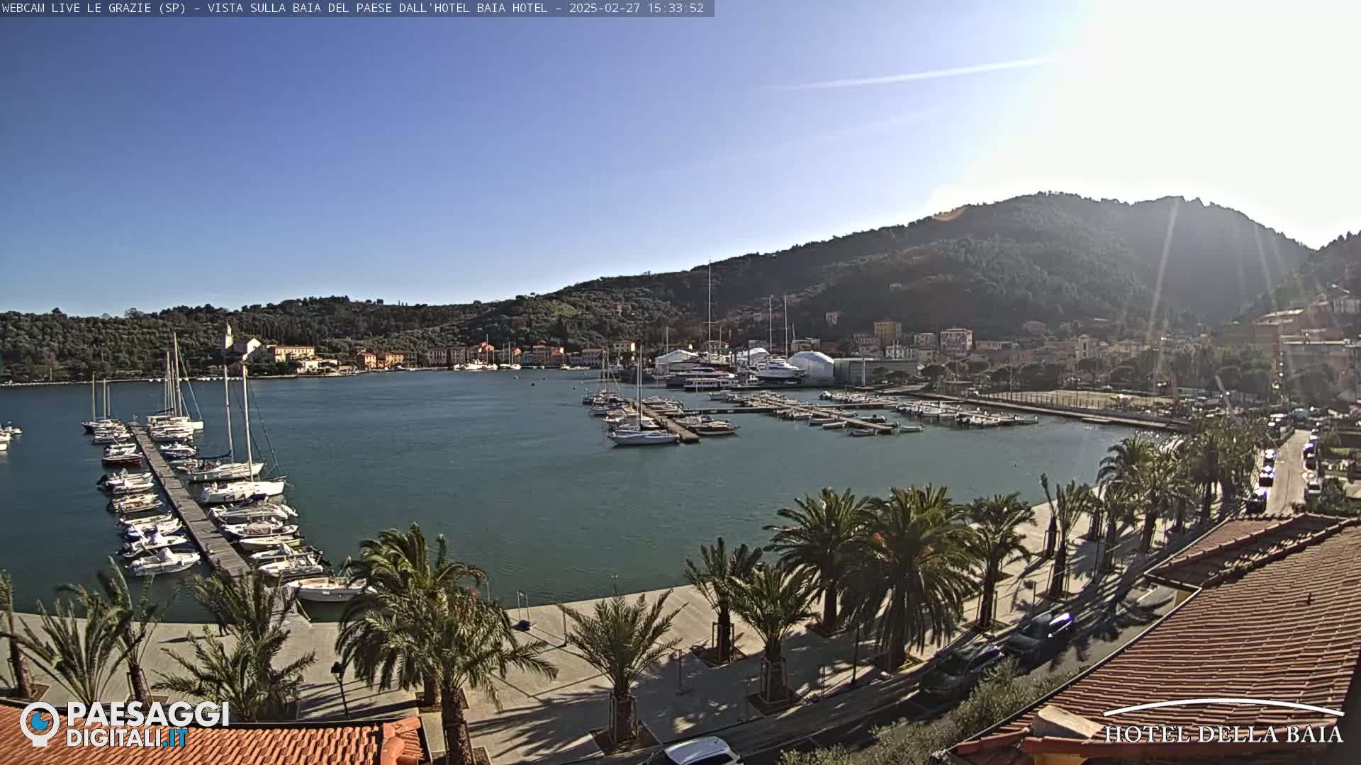 A sunny harbor filled with sailboats and yachts is nestled below a tree-covered hill, bordered by a palm tree-lined walkway and buildings.