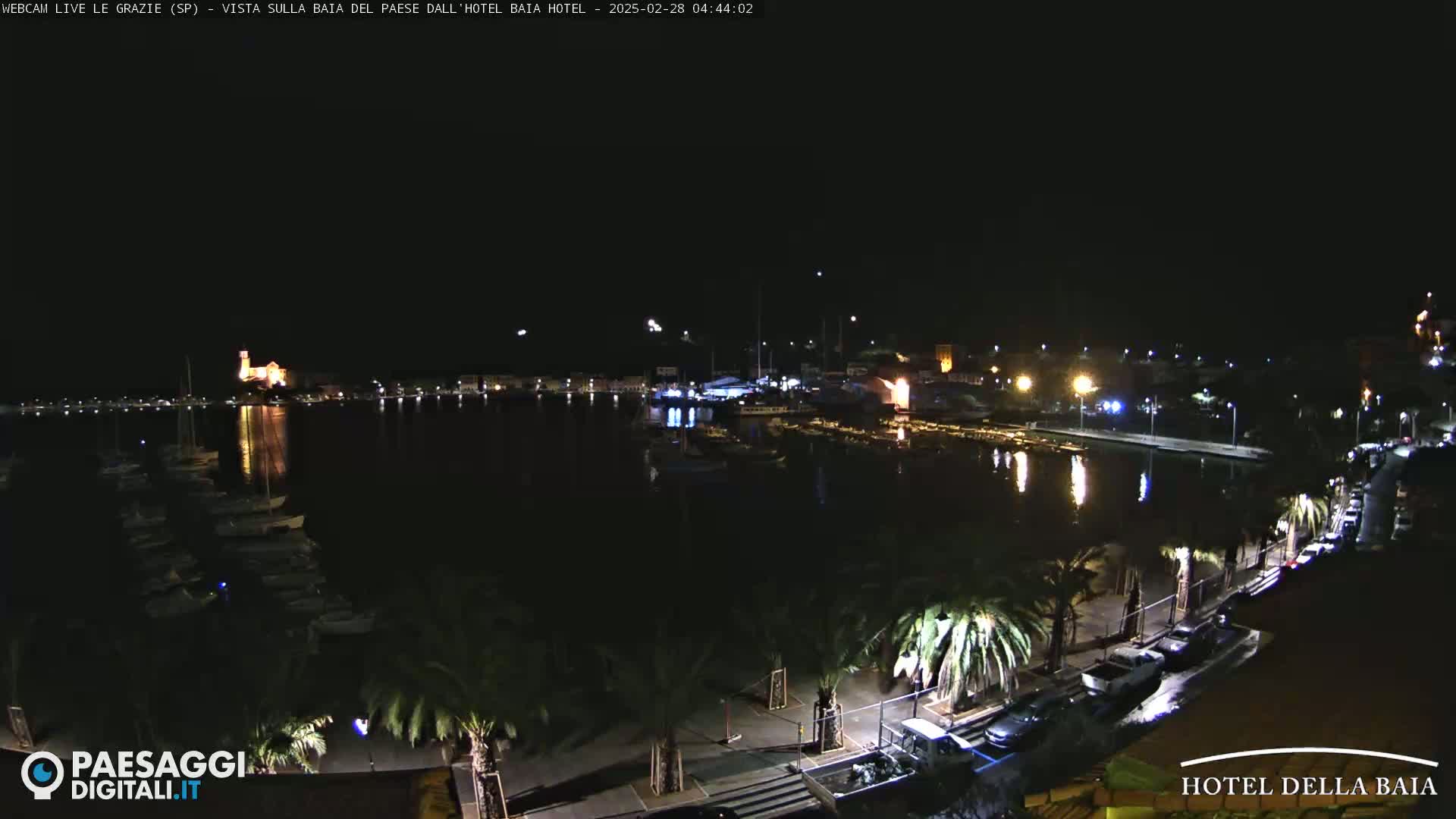 A nighttime view of a harbor filled with boats, lined with palm trees and streetlights along a waterfront promenade under a clear, dark sky.