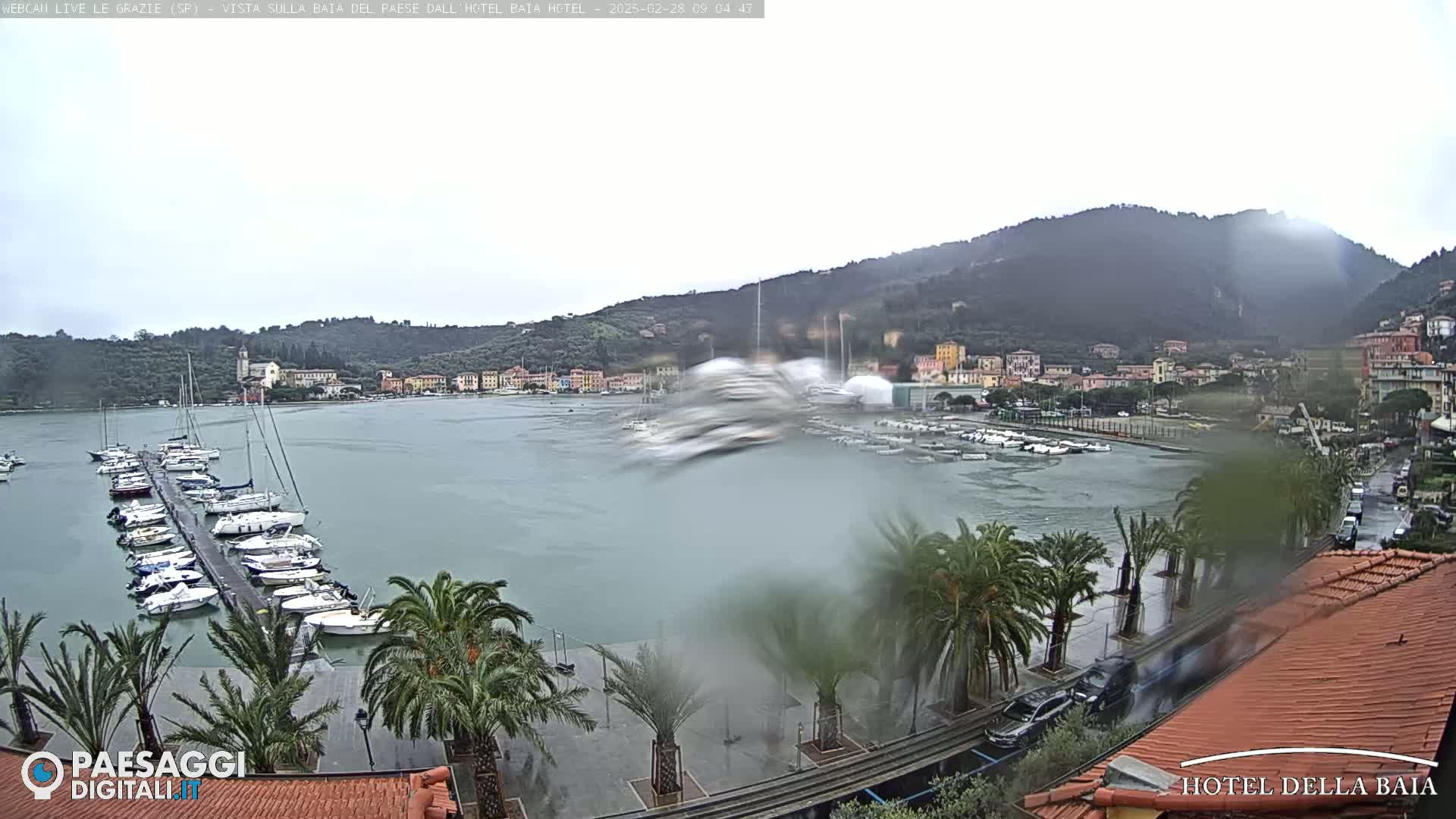 A harbor filled with boats is shown under an overcast sky, with rain falling and palm trees lining the waterfront.